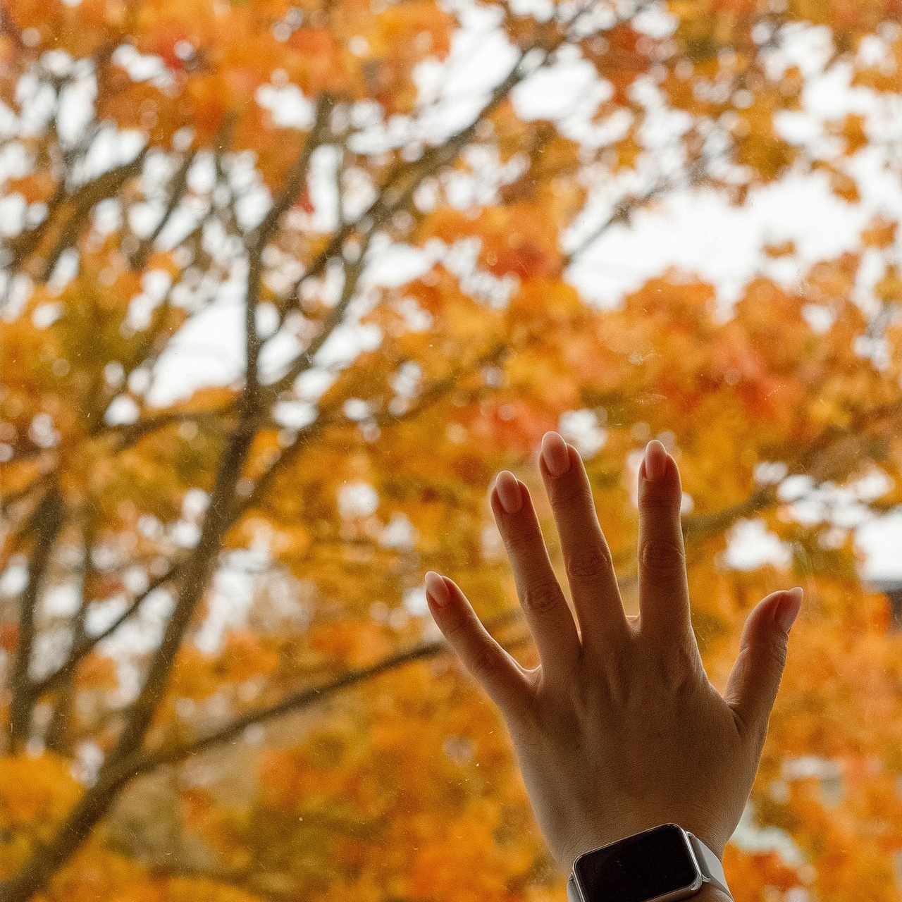 Отзывы. Фотограф Светлана Голицына