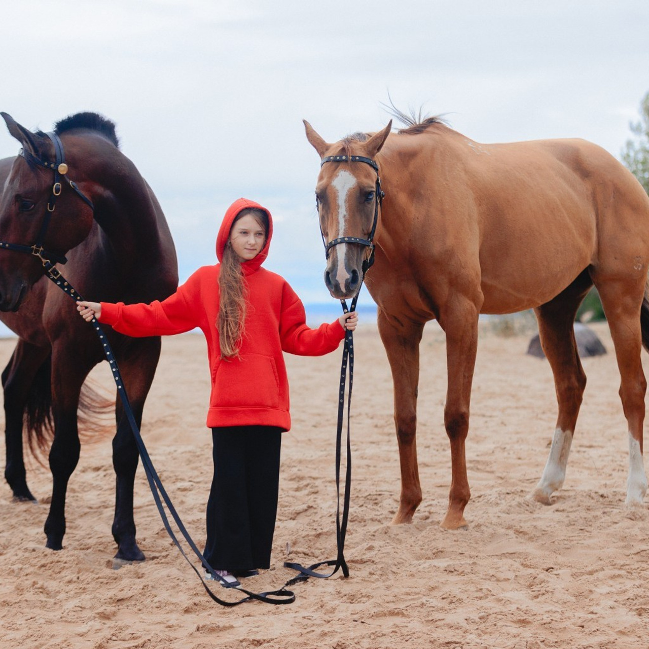 Фотосессия с лошадьми в СПб. Конный фотограф Яна Орлова. Отзывы. Конный фотограф Яна Орлова. Фотосессии с лошадьми в Санкт-Петербурге