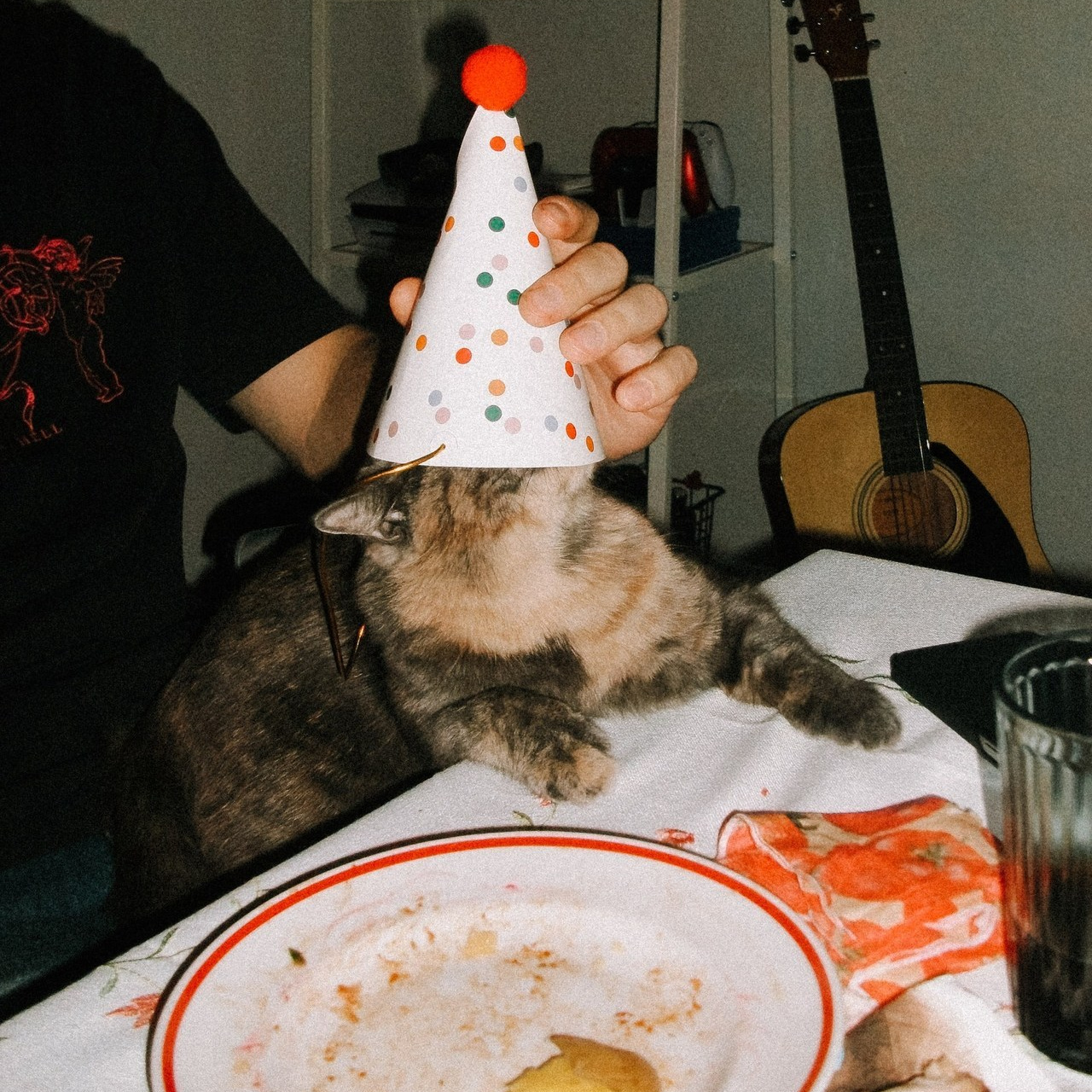 Отзывы. Свадебный фотограф в Санкт-Петербурге Баженова Алина