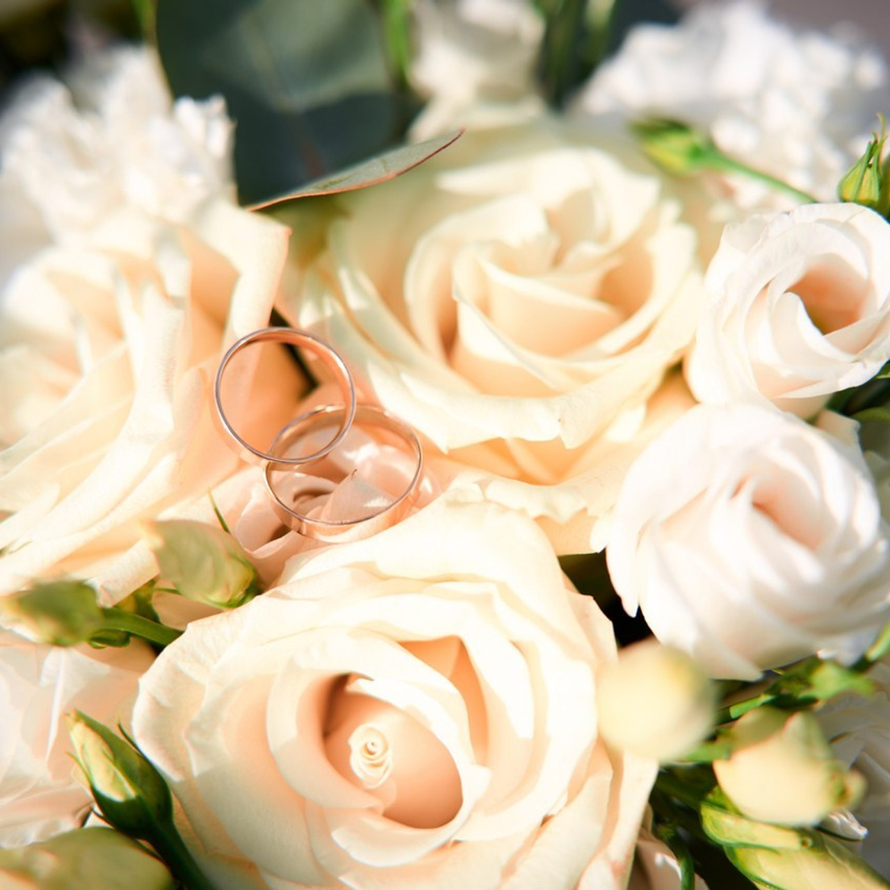 Отзывы. Фотограф видеограф Руслан Михайлов Томск