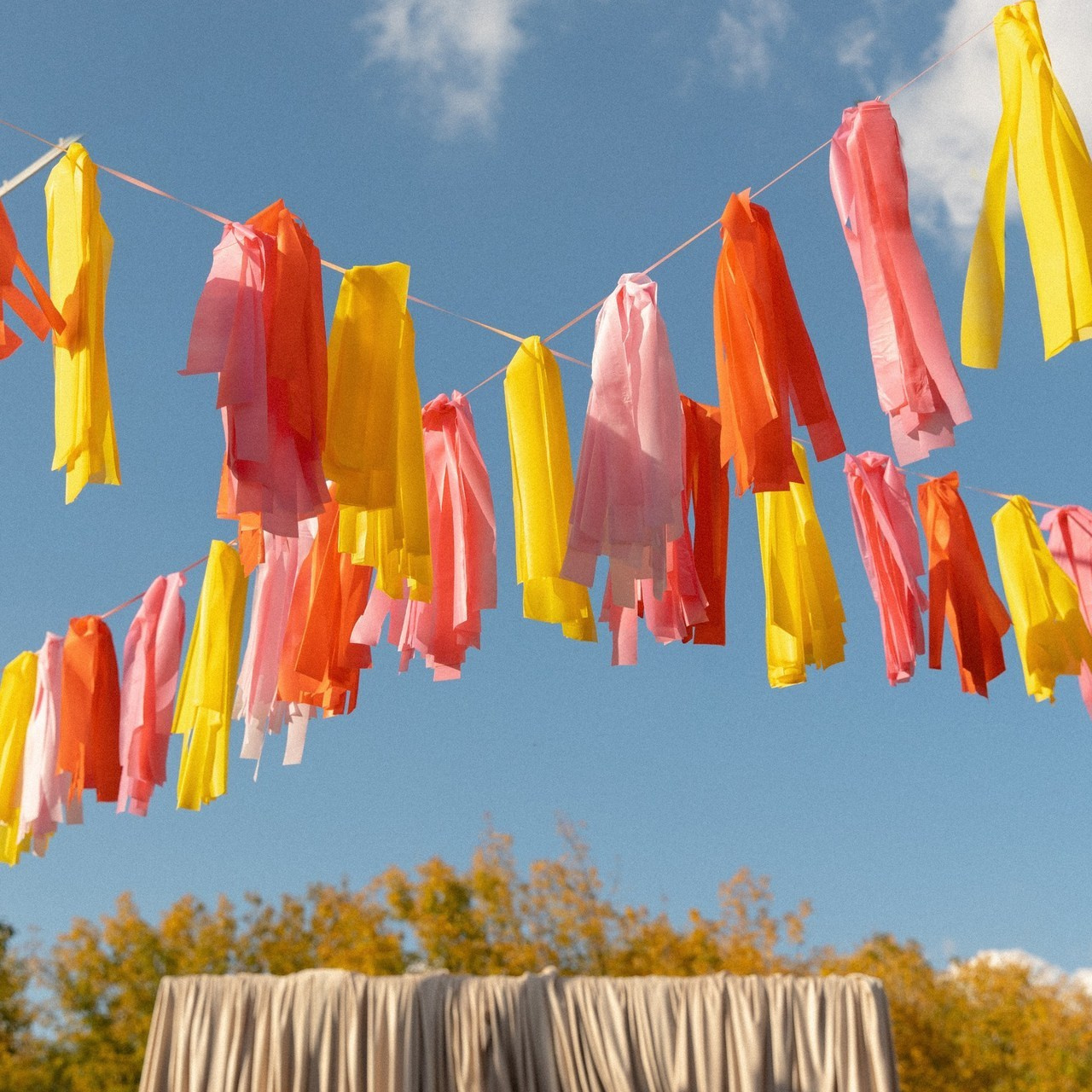 Отзывы. Свадебный фотограф Михаил Симонов