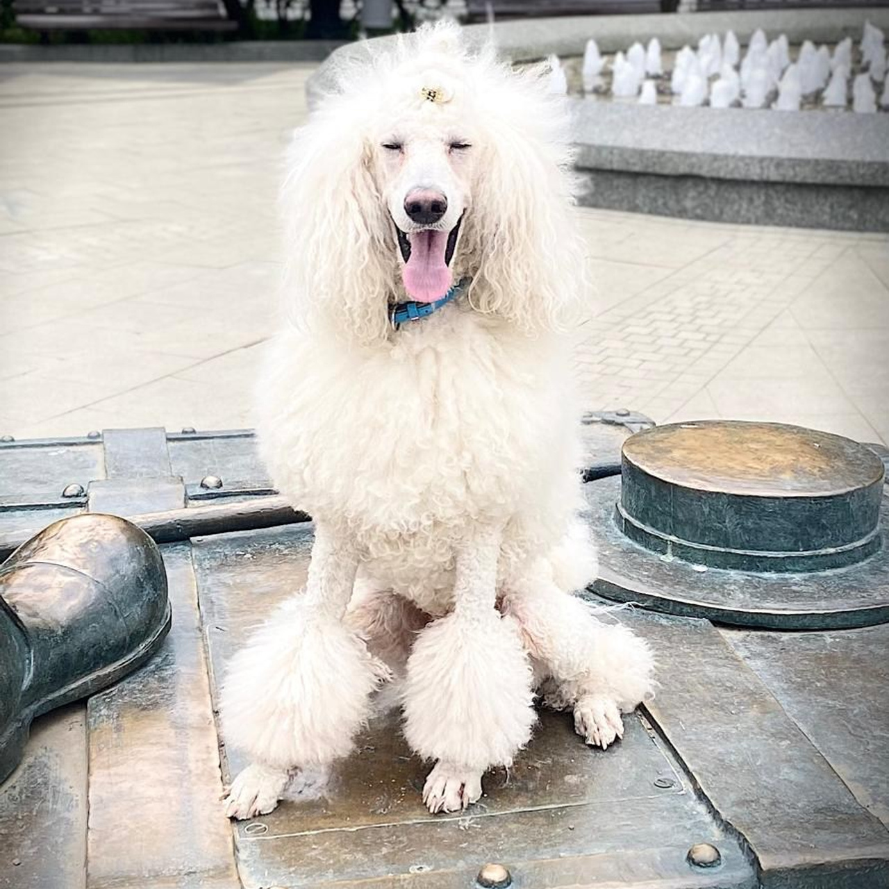 Бадди. Актерское агентство Art-faces