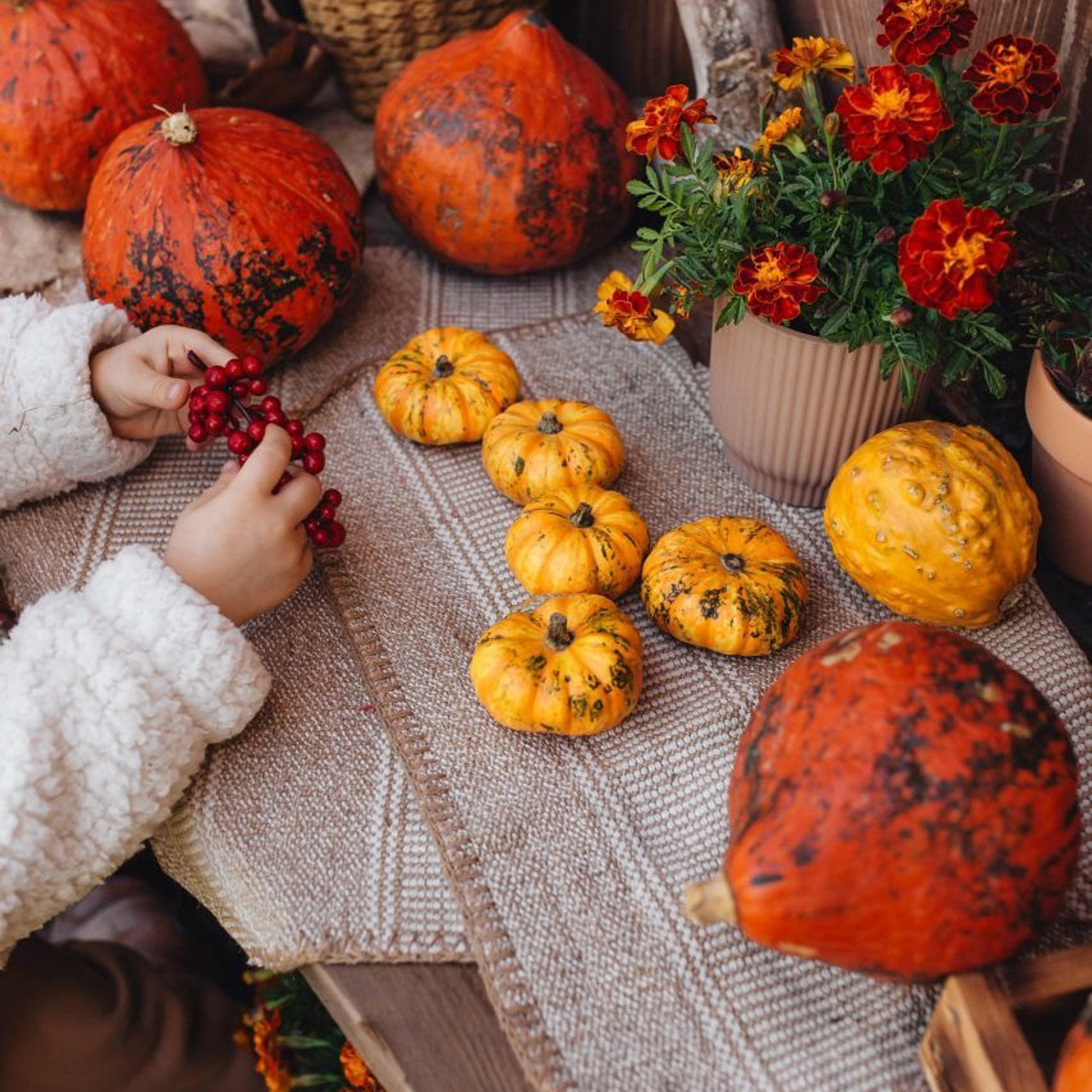 Фотостудия в саду