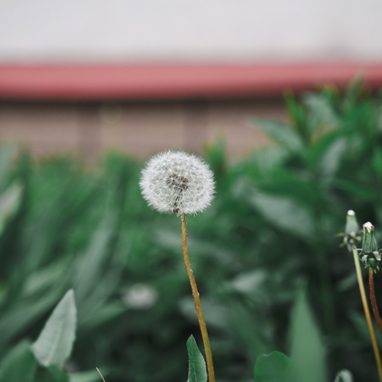 ОТЗЫВЫ. Семейный и фотограф в Санкт-Петербурге Ричард Громов