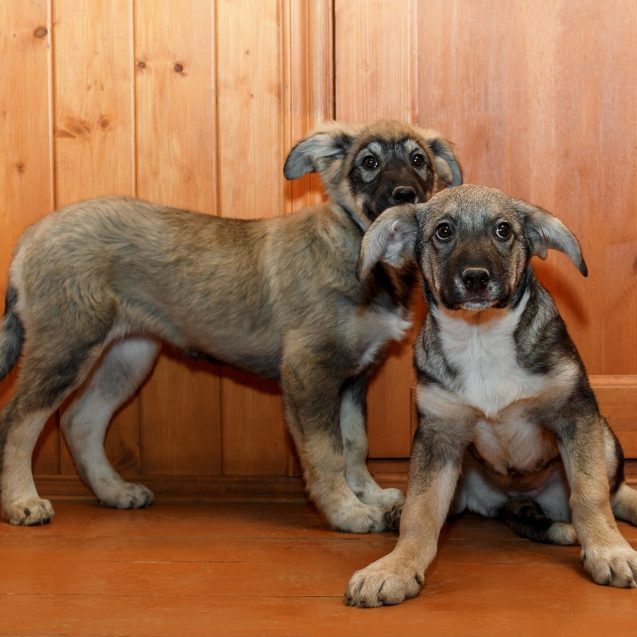 Отзывы. Фотограф Москва