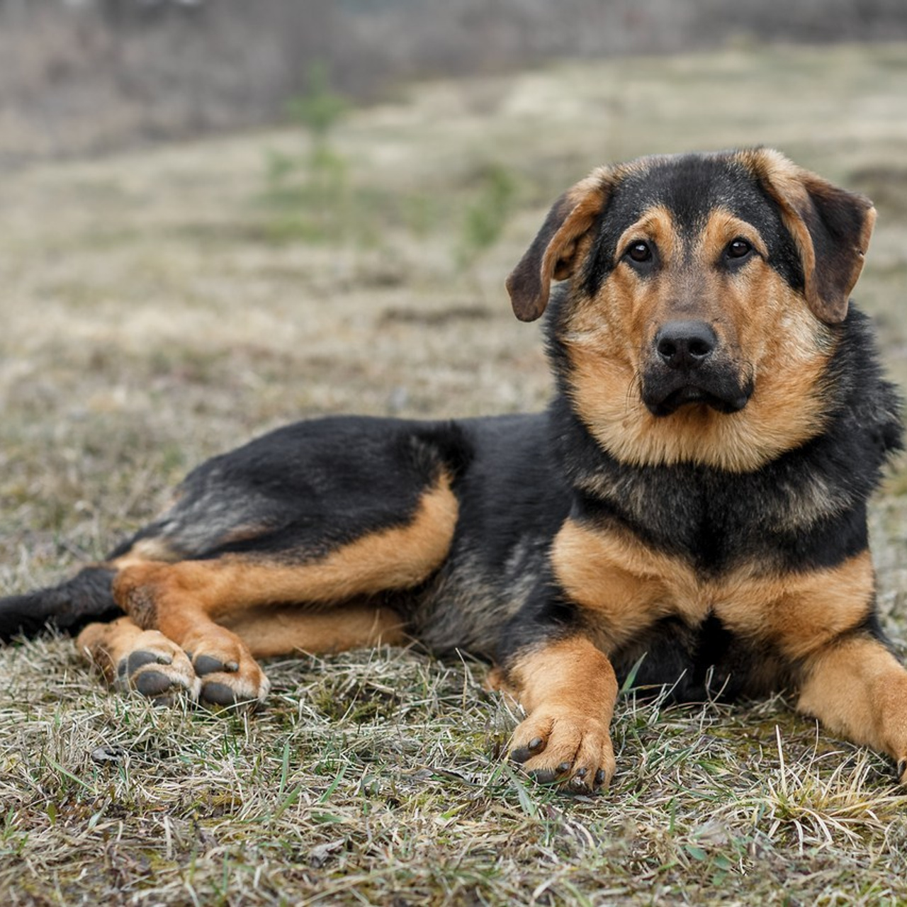 Отзывы. Фотограф Москва
