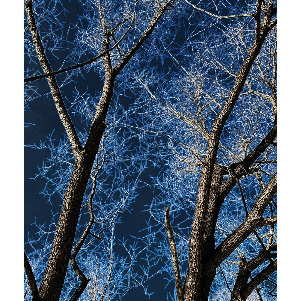 Зима по-сибирски