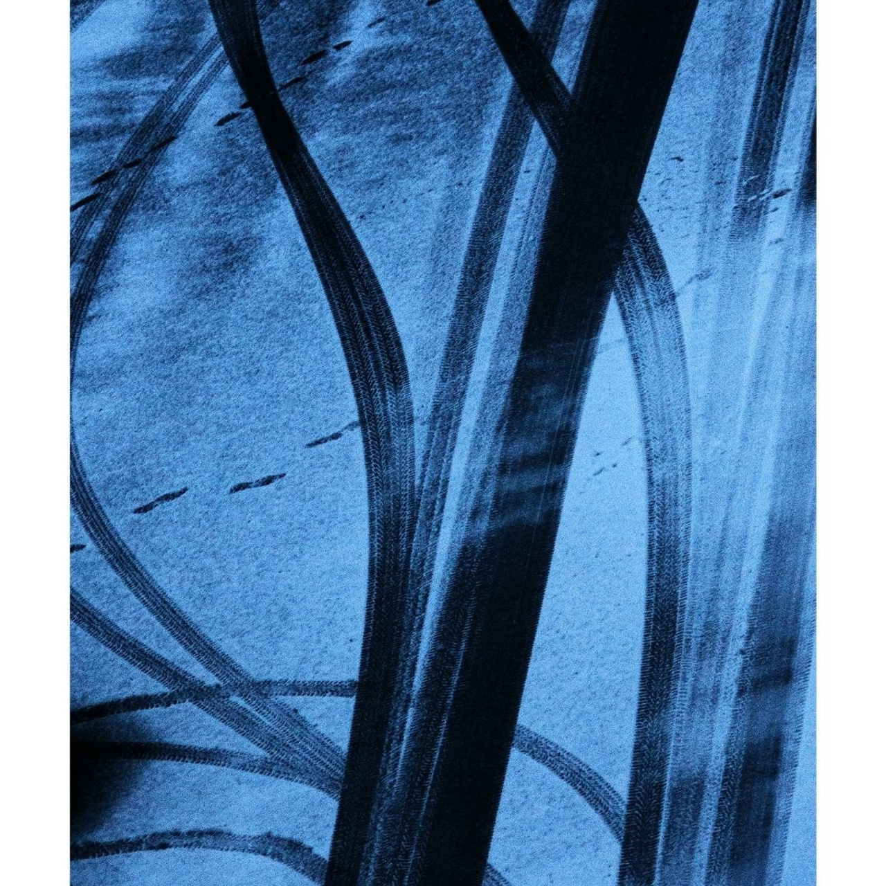 «Не выходя из дома»
