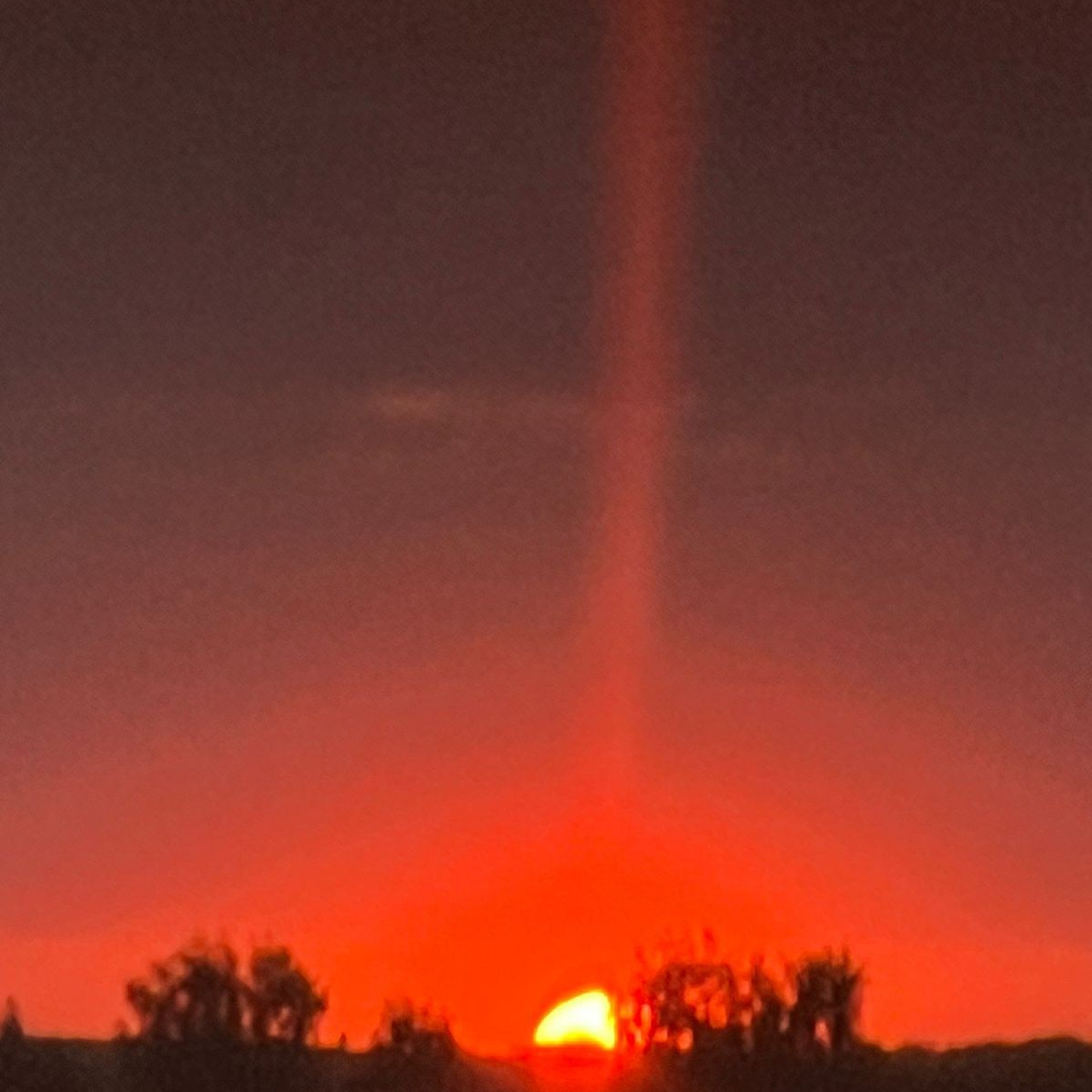 Отзывы. Свадебный и семейный фотограф в Домодедово и Москве Юлия Курзаева