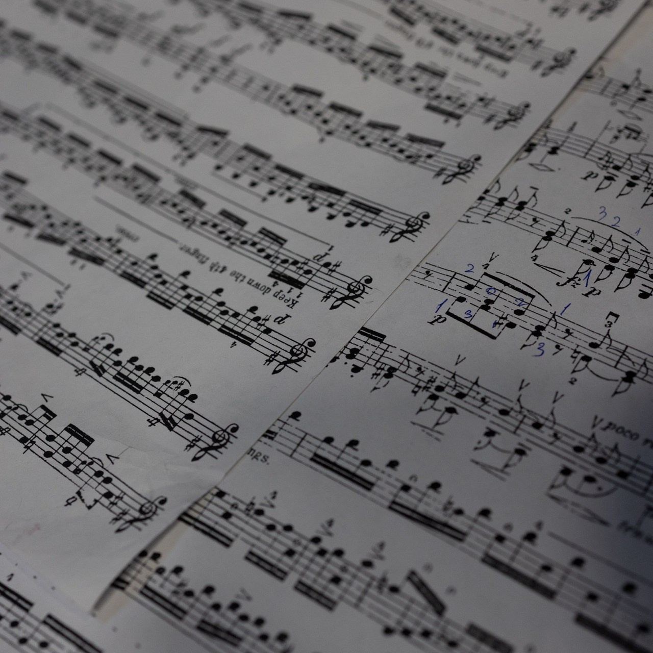 Отзывы. Фотограф Твердохлебова Дарья, г. Санкт-Петербург