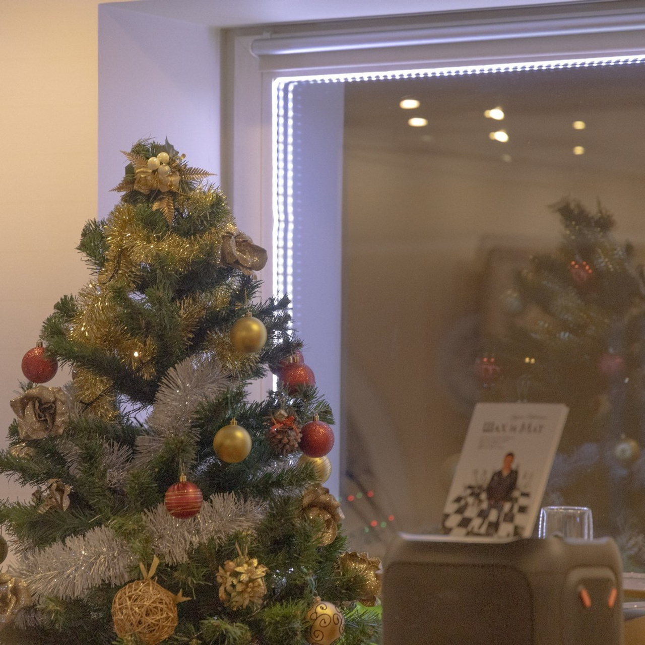 Отзывы. Фотограф Твердохлебова Дарья, г. Санкт-Петербург