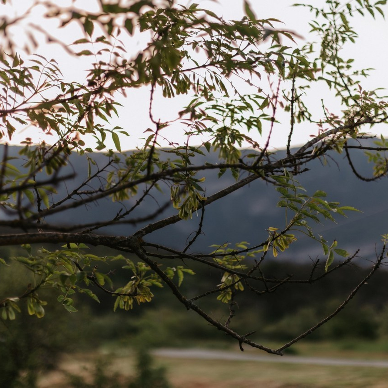 Отзывы. Photo by Tolmacheva | Crimea