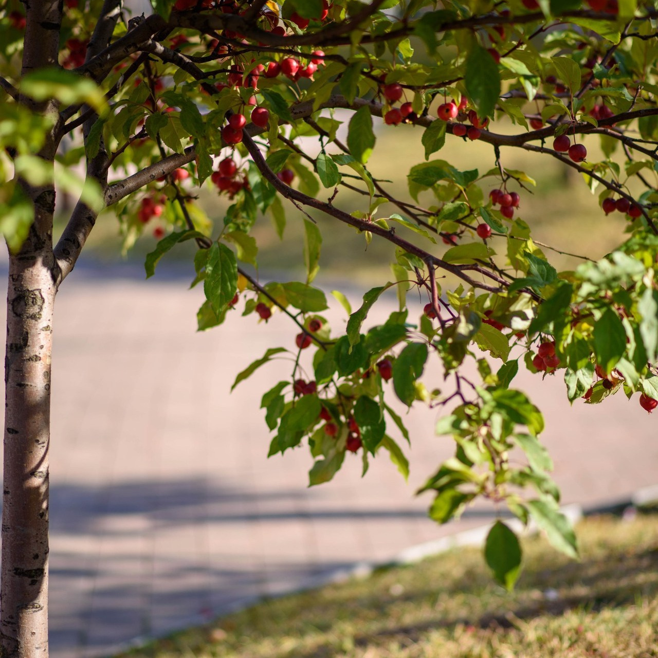 Отзывы. Фотограф в Туле. Воробьева Олеся