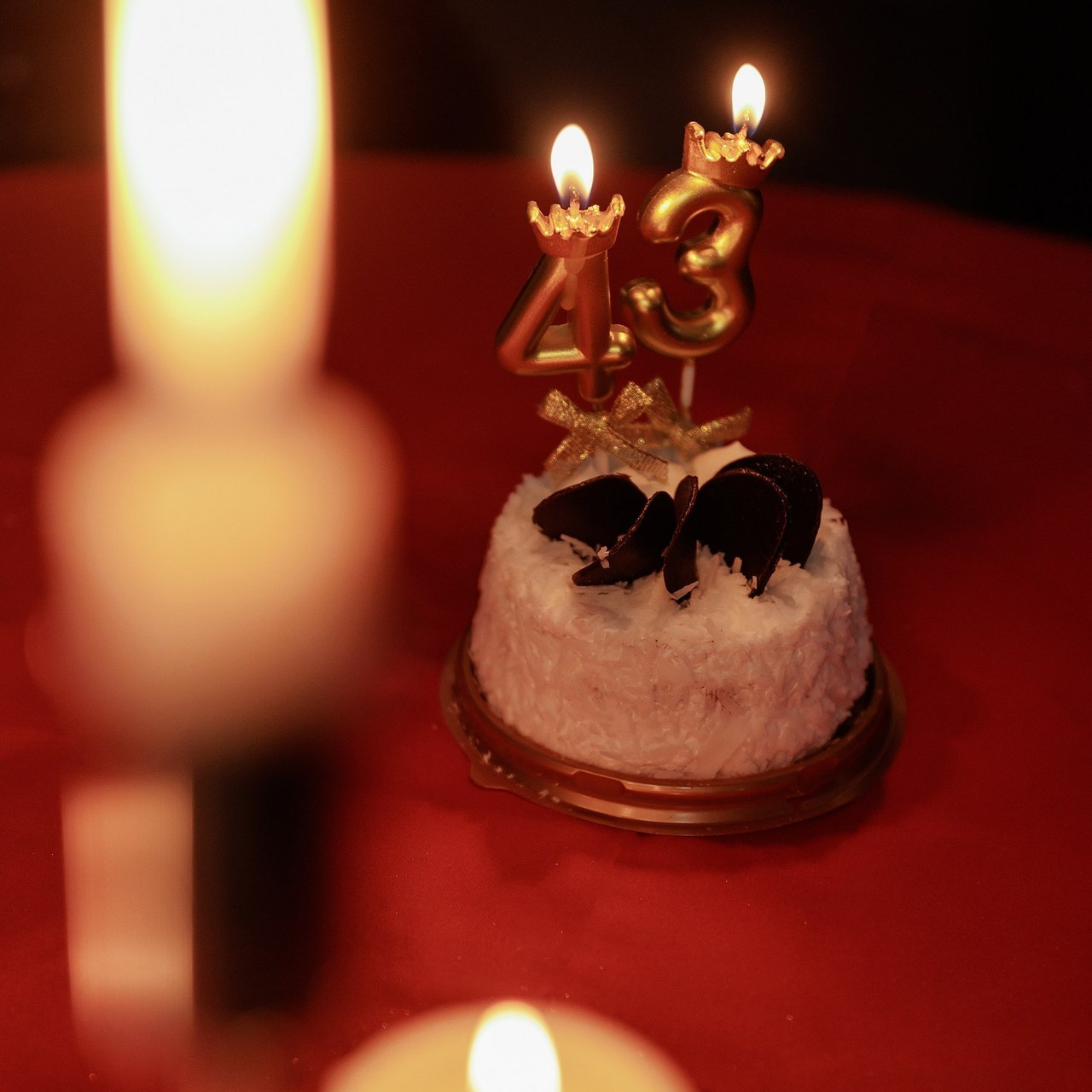 Отзывы. Фотограф Костанай Кукуруза Анжела