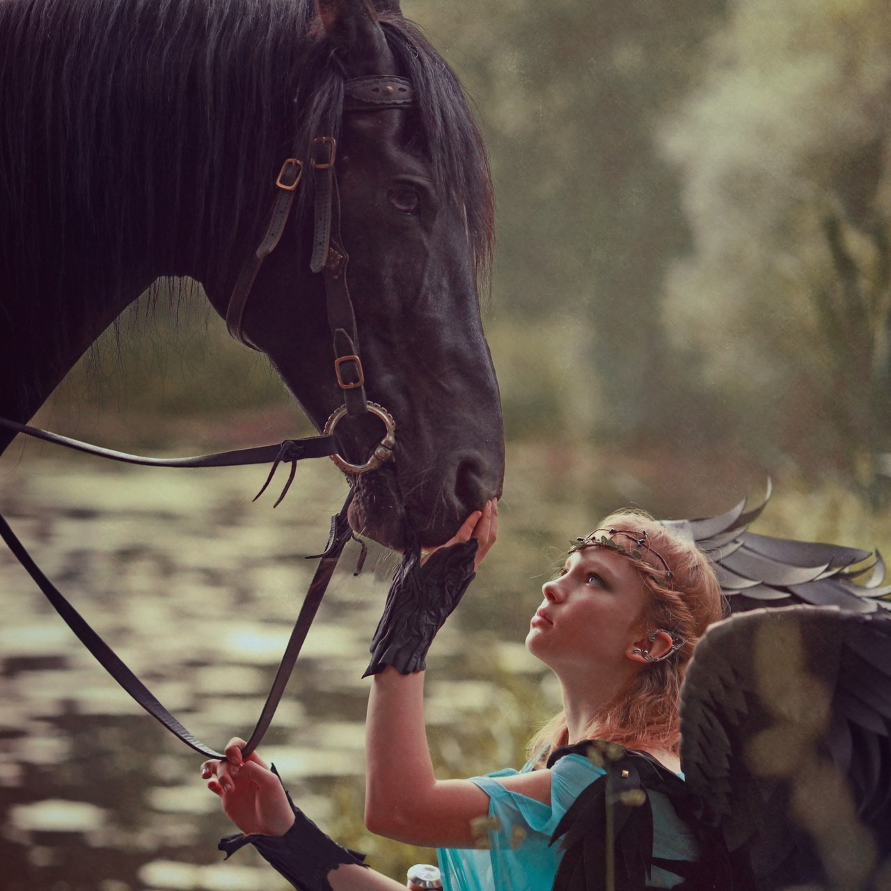 Отзывы. Фотосессия с лошадьми