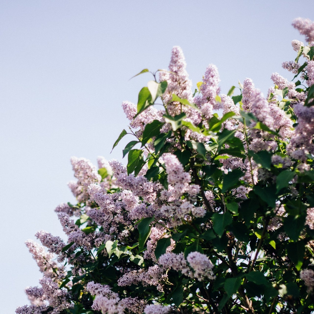 Отзывы на фото Гуральник Ольги. Портретный фотограф в Иванове Ольга Гуральник