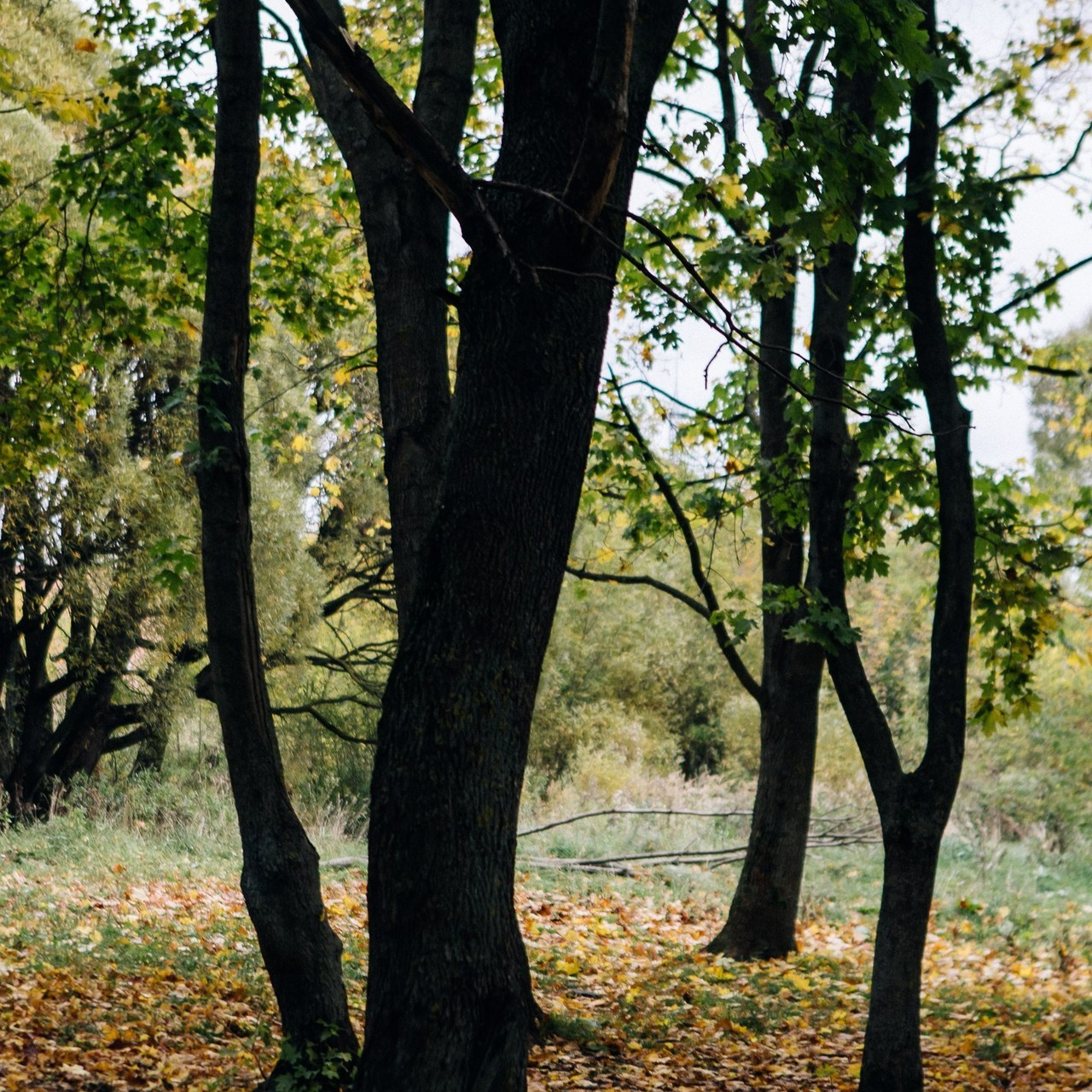 Отзывы на фото Гуральник Ольги. Портретный фотограф в Иванове Ольга Гуральник
