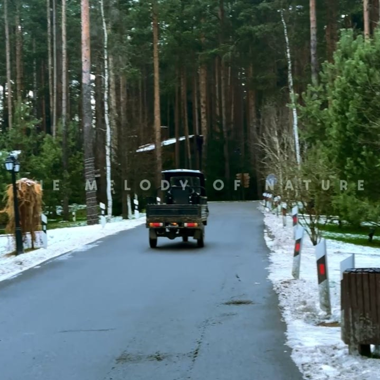Художественная съёмка. Мобильная фото и видеосъемка в Санкт-Петербурге. Художественный подход и нестандартные решения. Алина Коротина