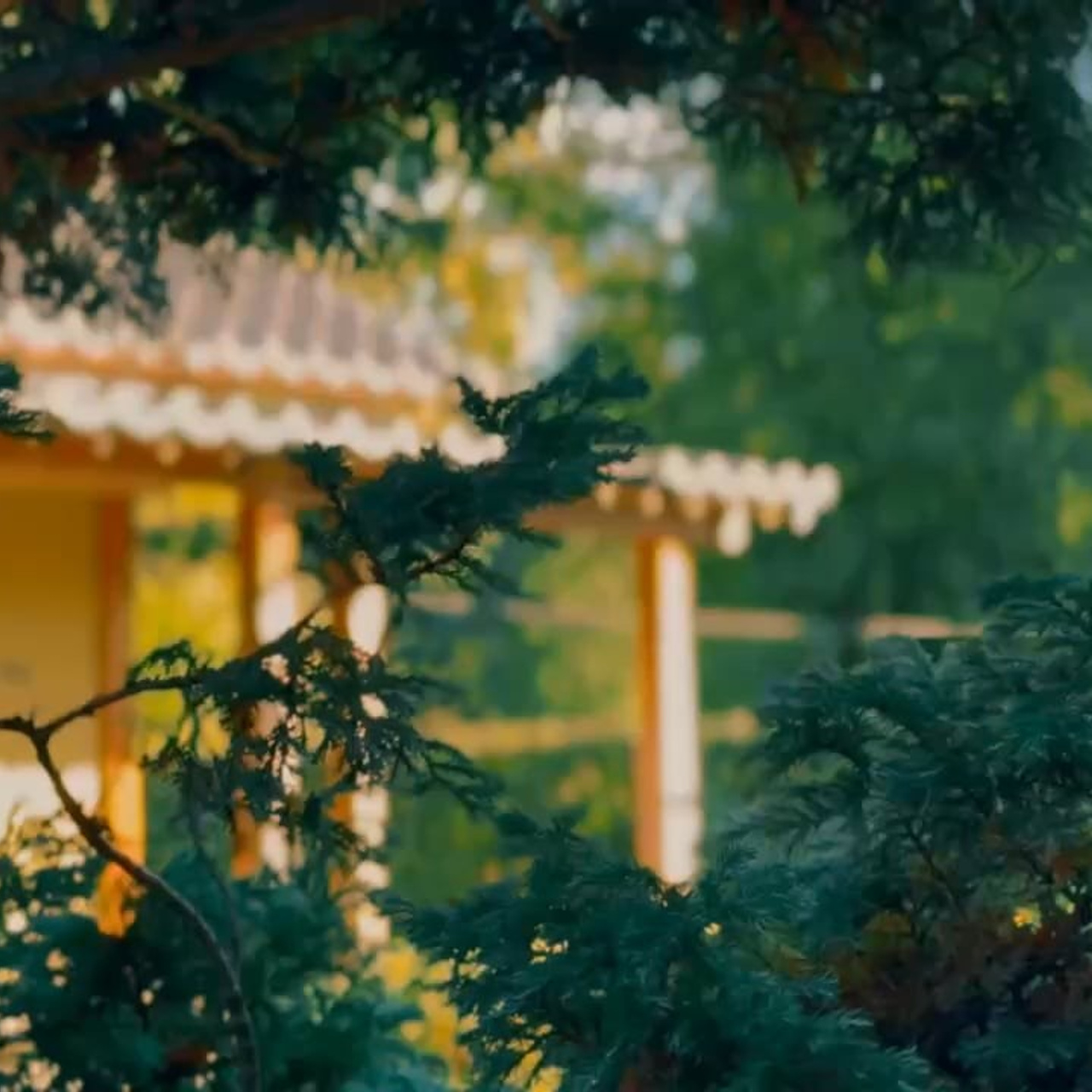 Художественная съёмка. Мобильная фото и видеосъемка в Санкт-Петербурге. Художественный подход и нестандартные решения. Алина Коротина