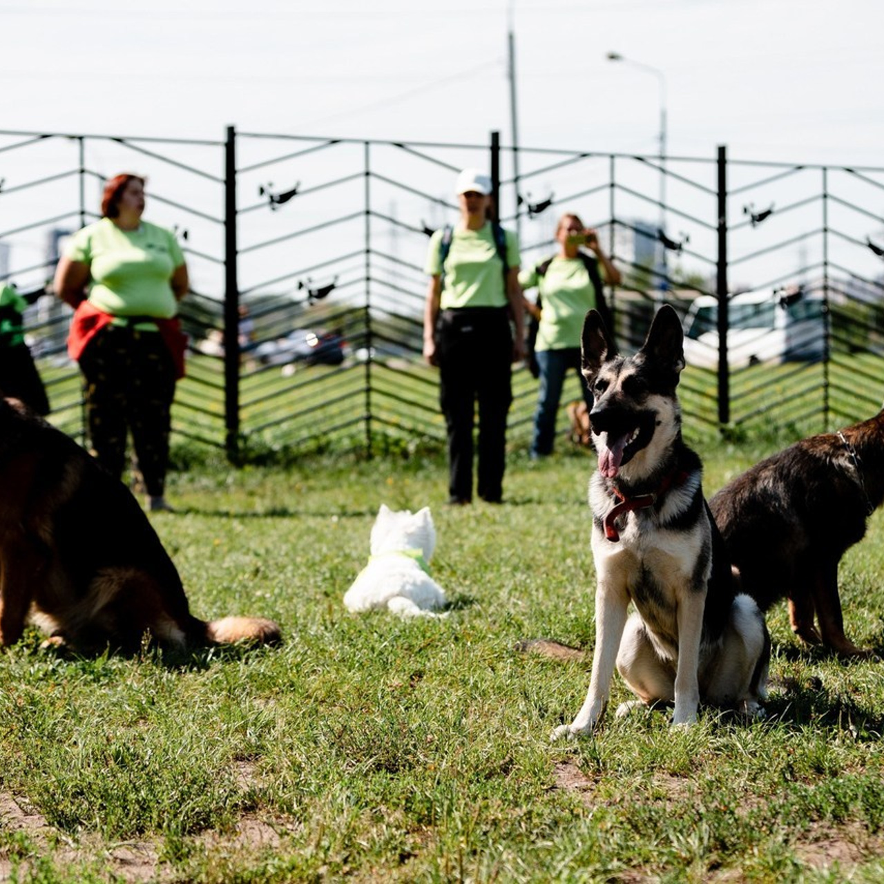 Отзывы. Павел Шарапов | Фотограф | Москва