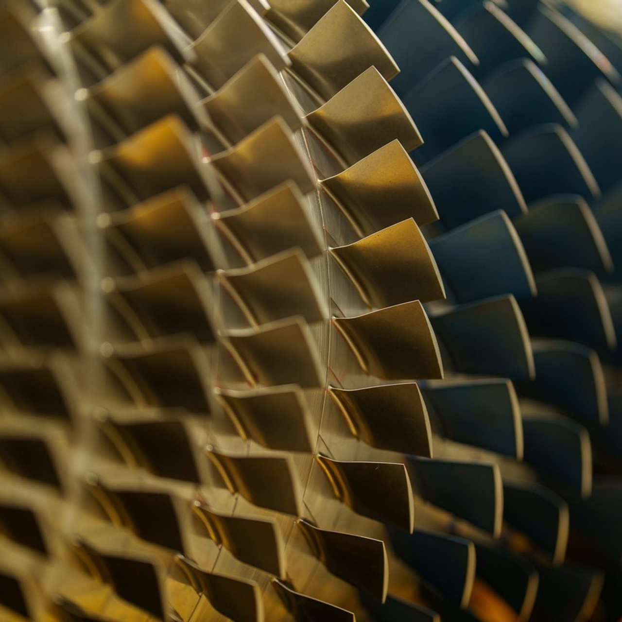 Отзывы. Репортажный фотограф Сергей Сергеевич