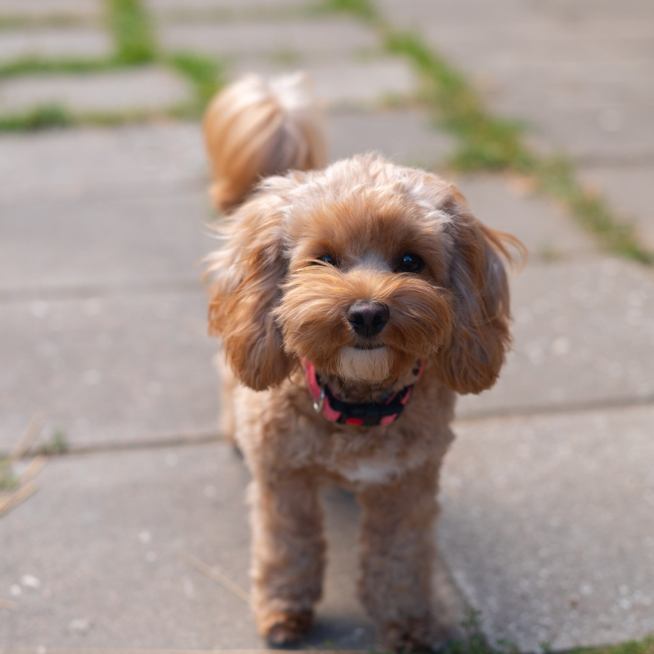 Отзывы. Фотограф в Минске