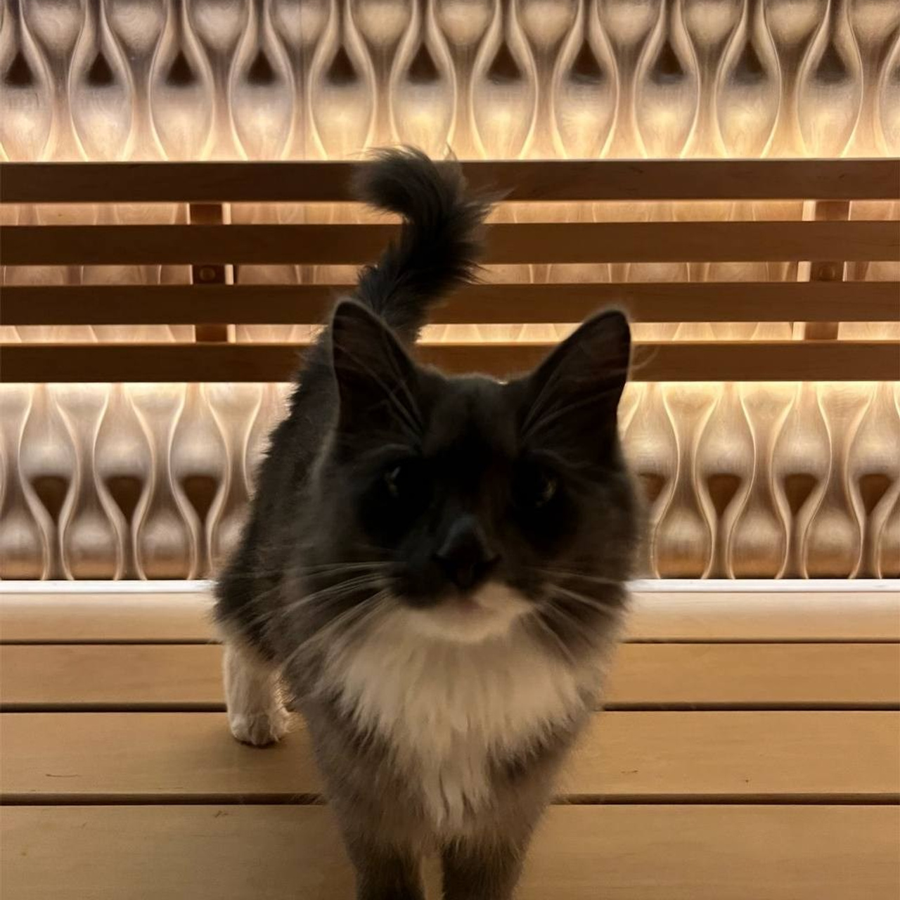 Уникальная парная в Юкках с огромным 3D панно из дикорастущего тика. Печь ручной работы и даже дровник между полками