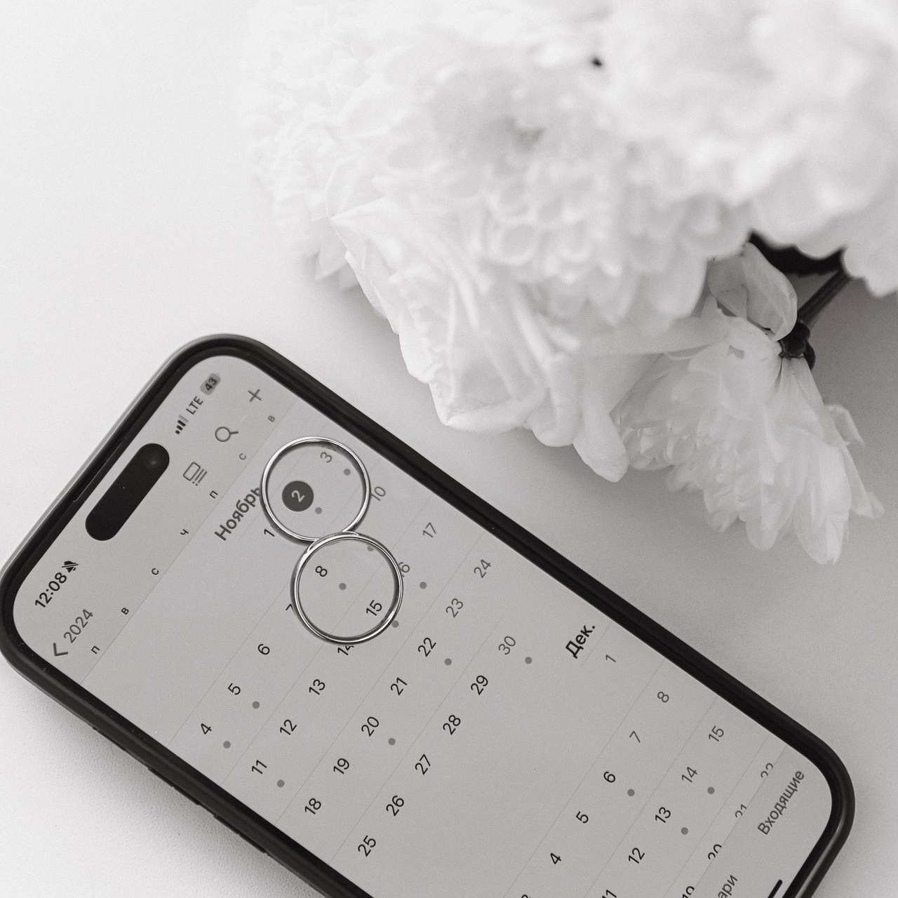 Отзывы. Семейный, портретный, фотограф в городе Магадане Анастасия Кадочкина