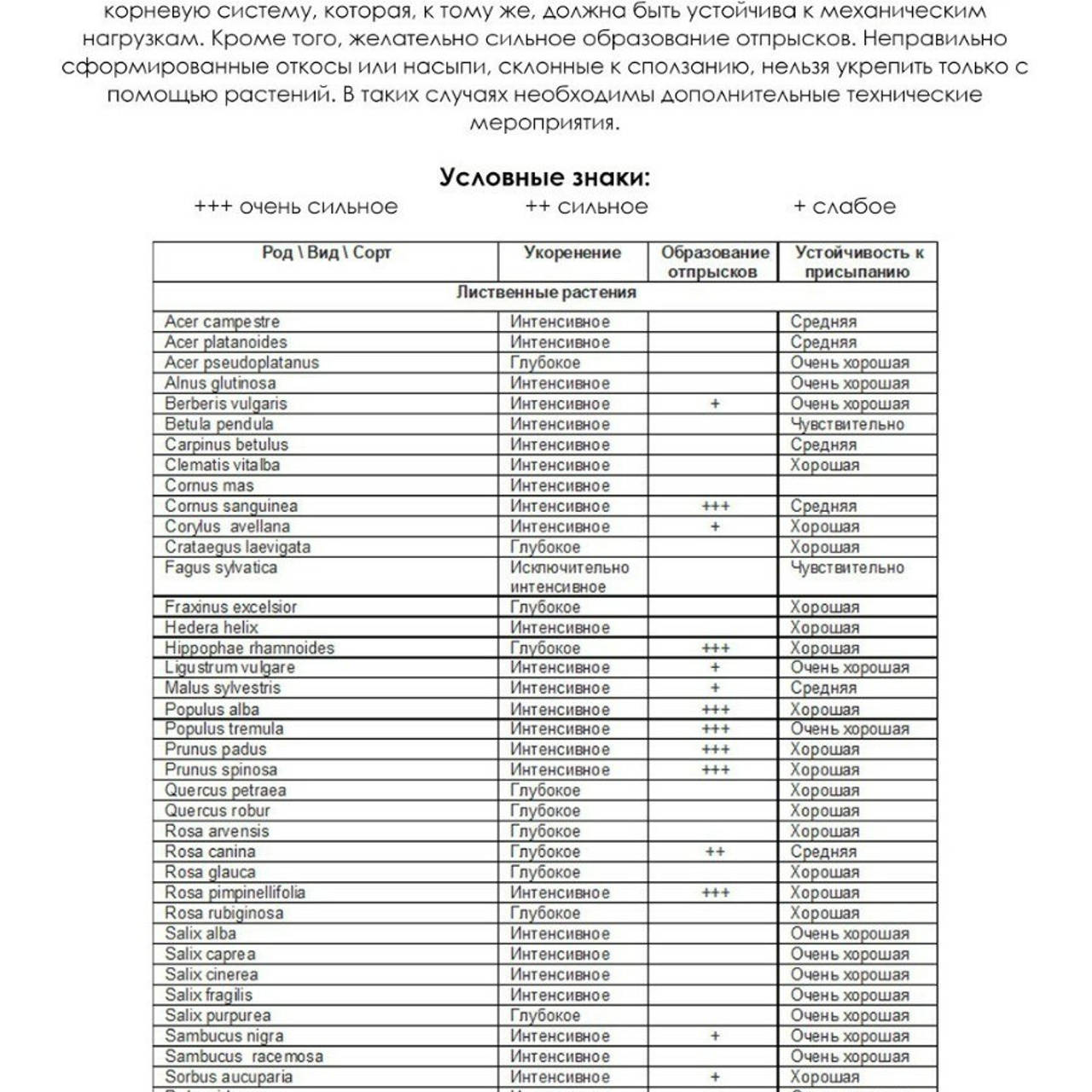 RUSNEWS/ДАЧНЫЙ КЛУБ. ТРЕНДЫ СЕЗОН 2025.ПИТОМНИКИ. 俄罗斯设计估算