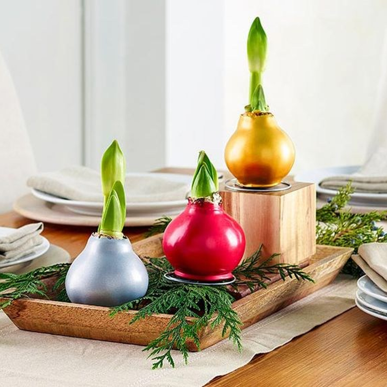 RUSNEWS/ДАЧНЫЙ КЛУБ. ТРЕНДЫ СЕЗОН 2025.ПИТОМНИКИ. 俄罗斯设计估算