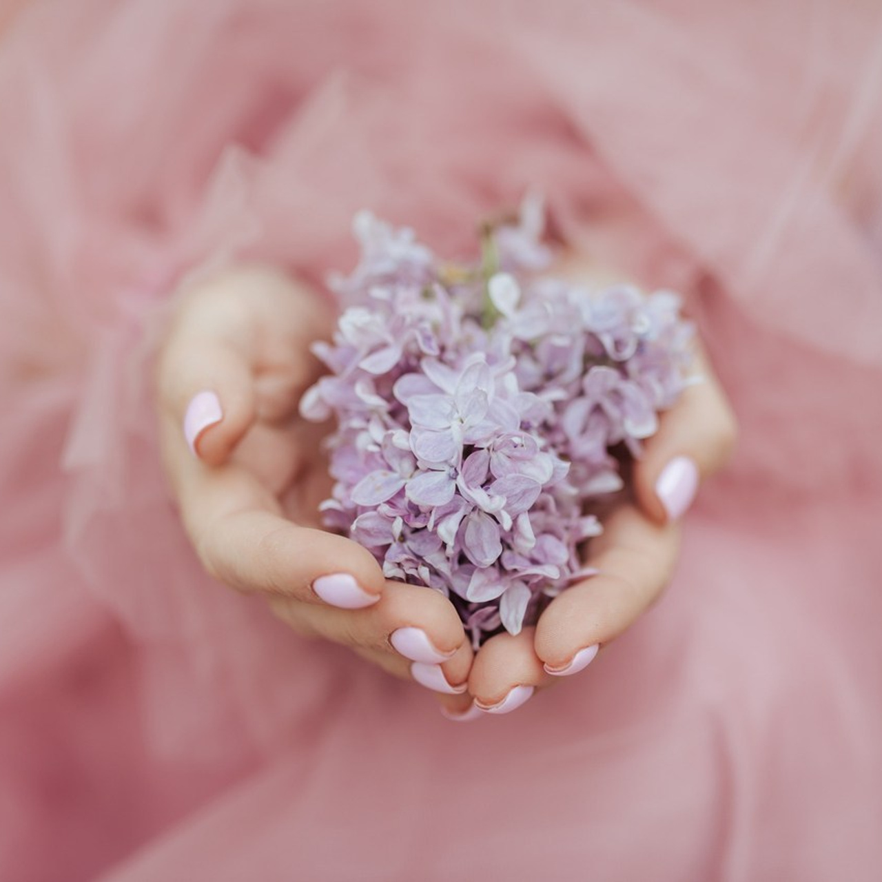 Ваш отзыв о фотографе. Свадебный фотограф в Дубне Алексей Фонарёв