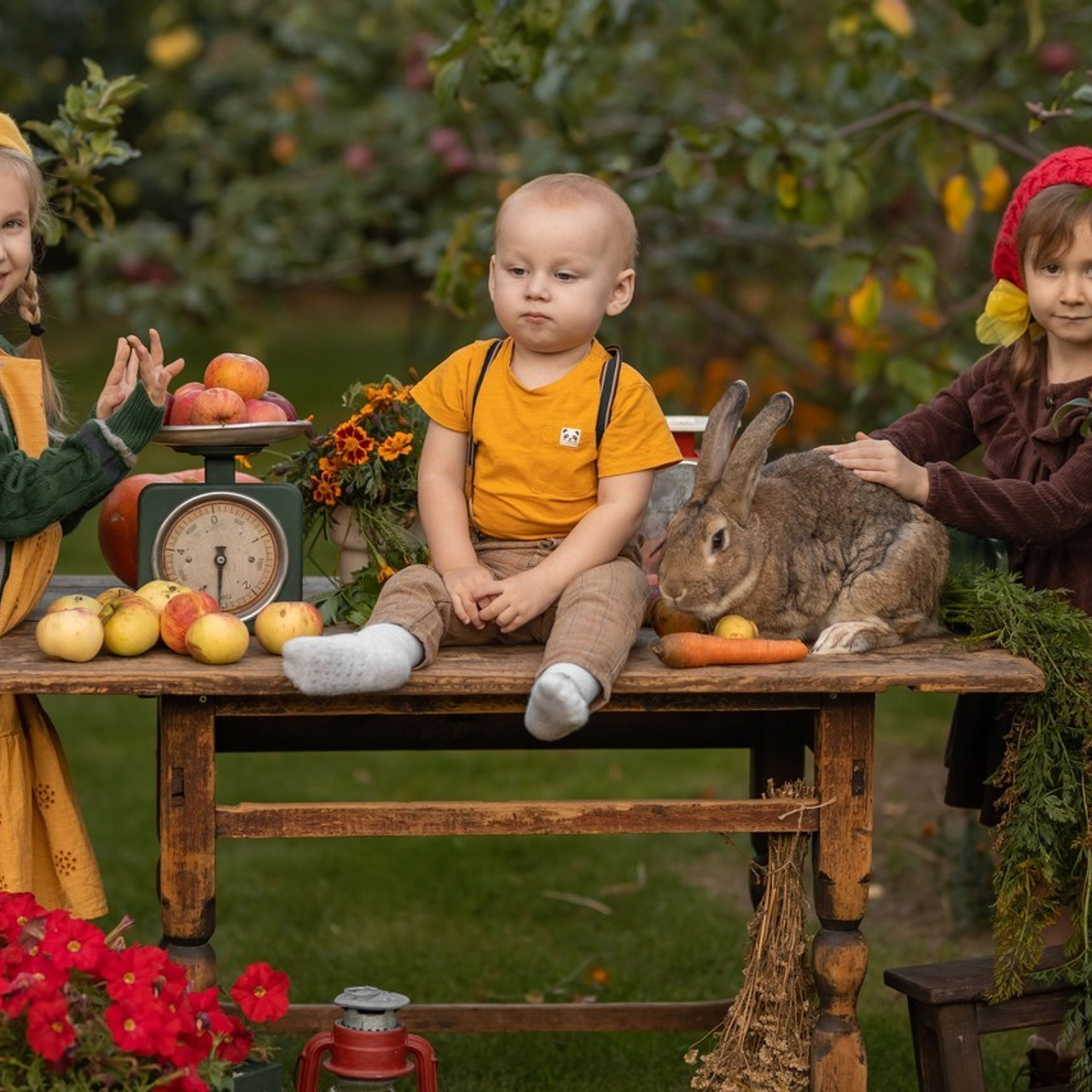 Отзывы. Елена Чернигина семейный и детский фотограф в Нижнем Новгороде и Бор