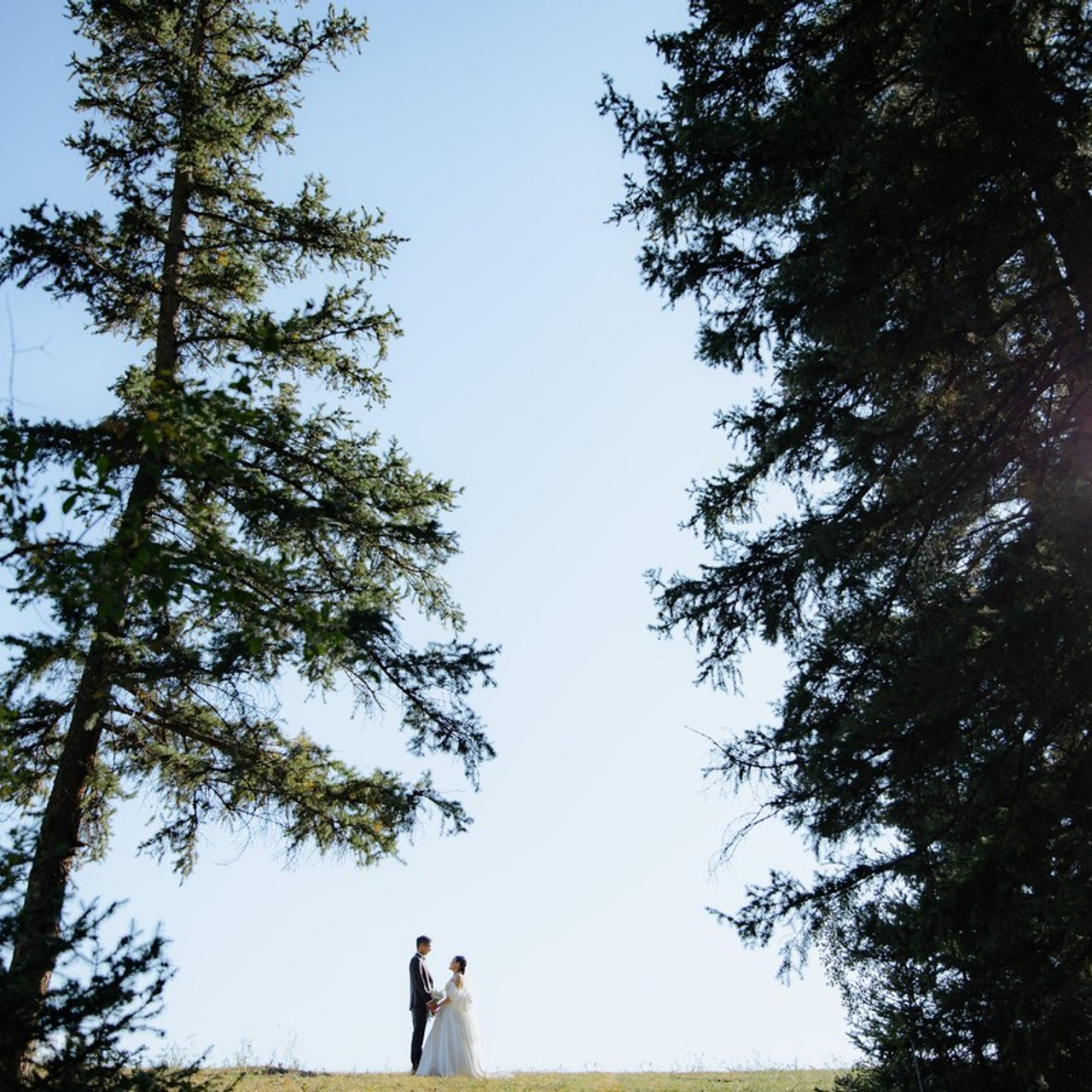 Отзывы. Свадебный и репортажный фотограф в Якутске Владимир Бочкарев