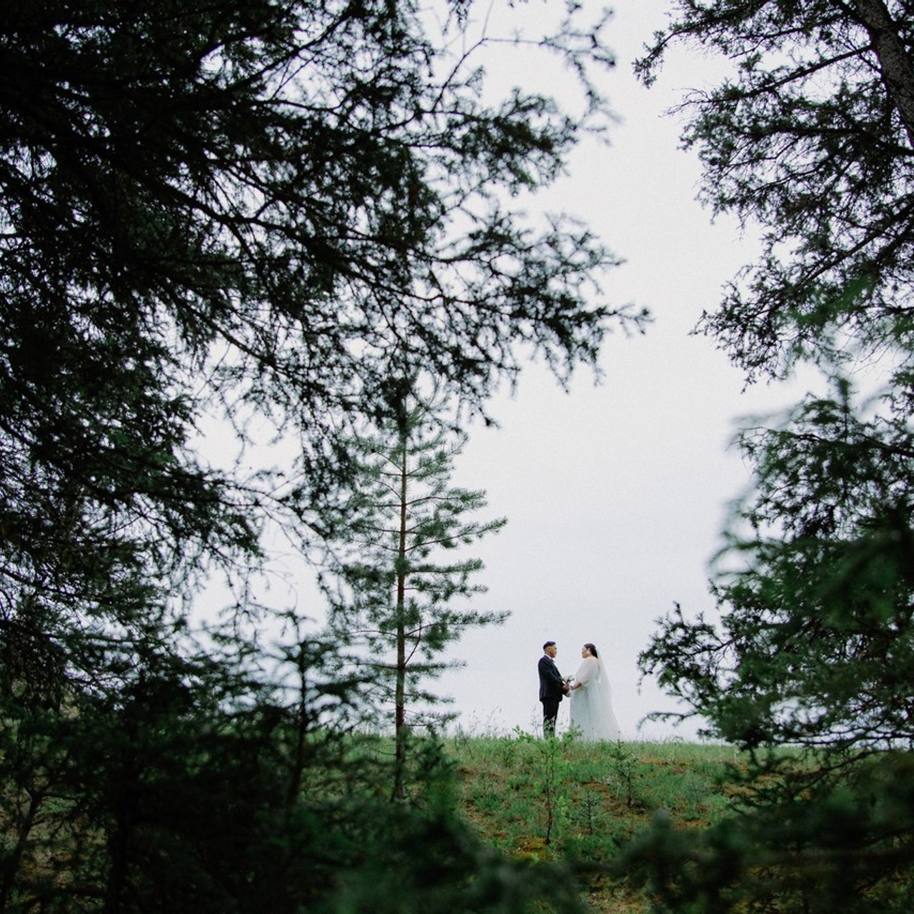 Отзывы. Свадебный и репортажный фотограф в Якутске Владимир Бочкарев