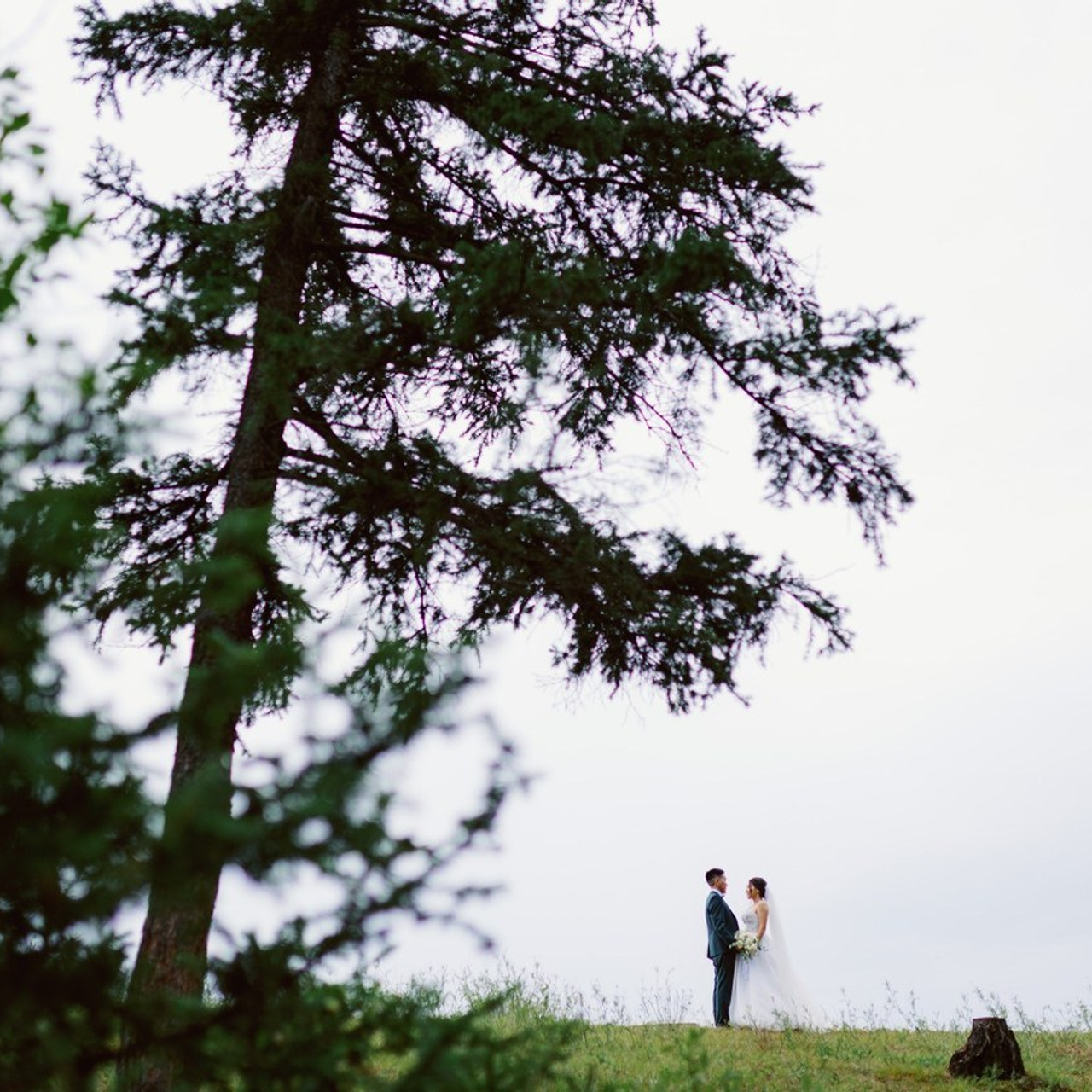 Отзывы. Свадебный и репортажный фотограф в Якутске Владимир Бочкарев