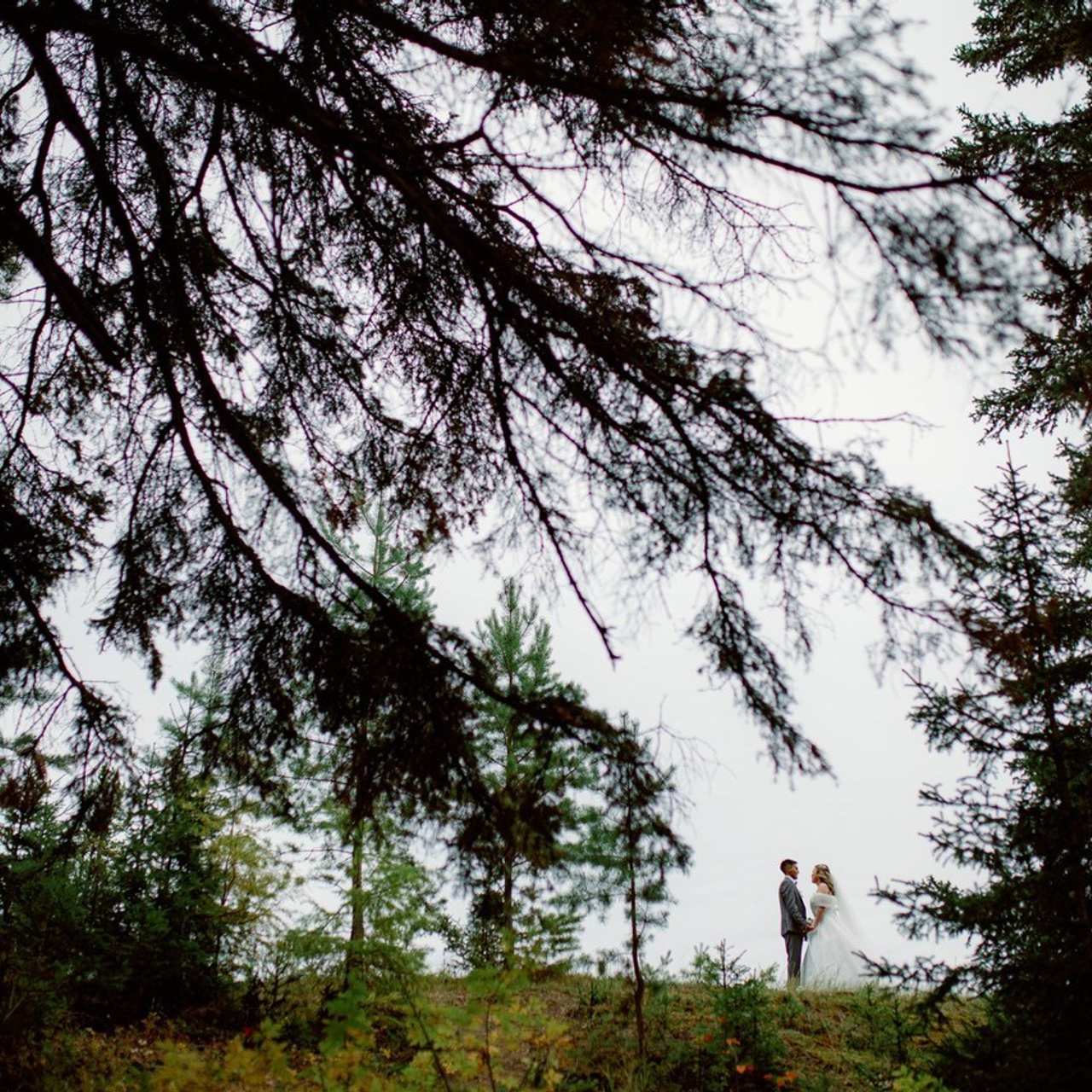 Отзывы. Свадебный и репортажный фотограф в Якутске Владимир Бочкарев