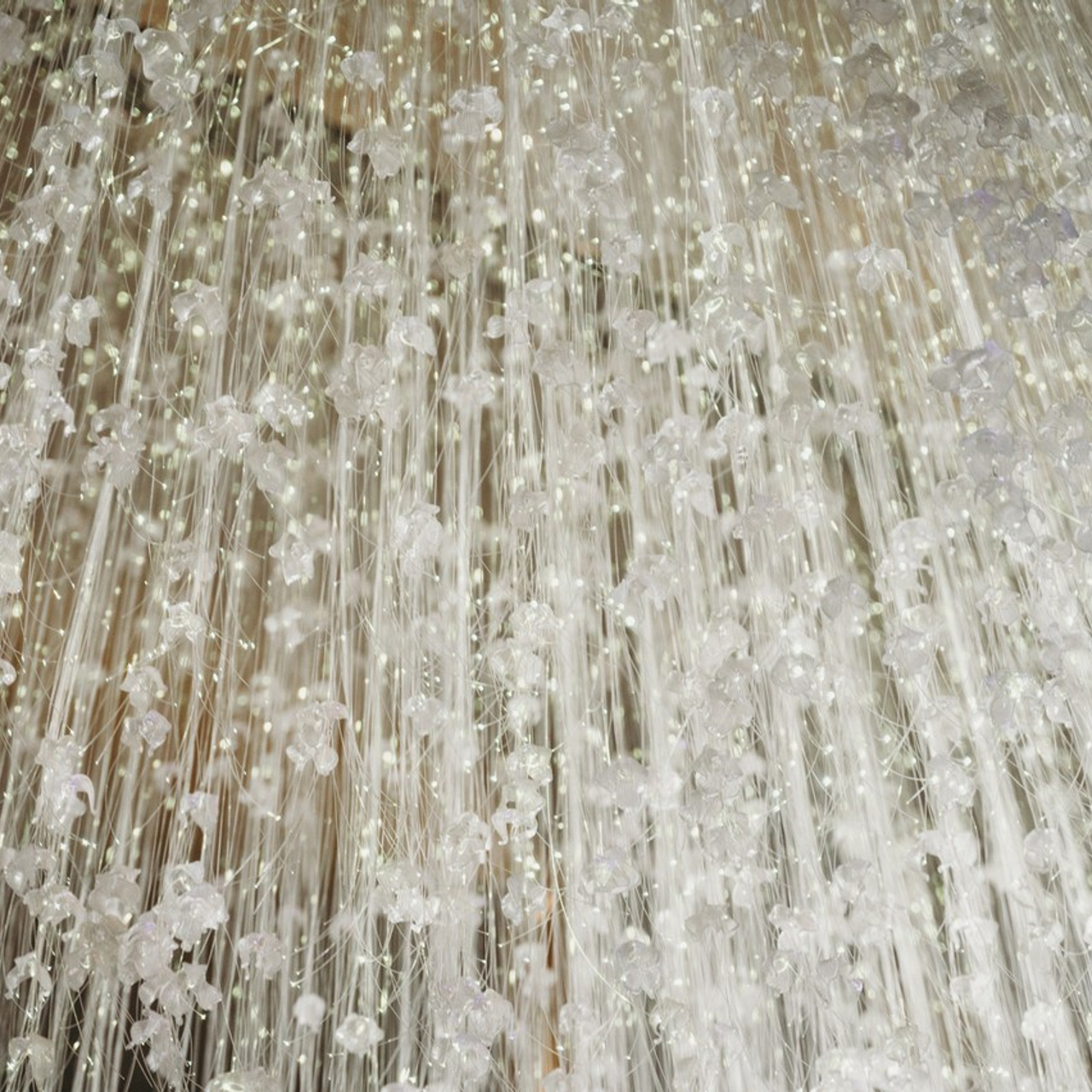 Отзывы. Свадебный и семейный фотограф в Красноярске Виктория Тимонина