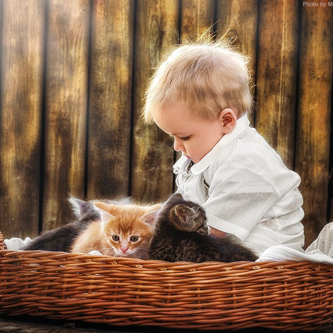 Портфолио. Детский и семейный фотограф в Москве Мария Аванесова