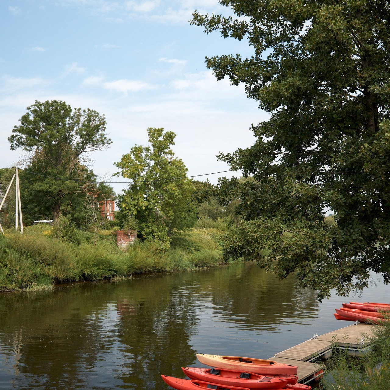 Отзывы. Свадебный и семейный фотограф в Калининграде Алина Шумахер