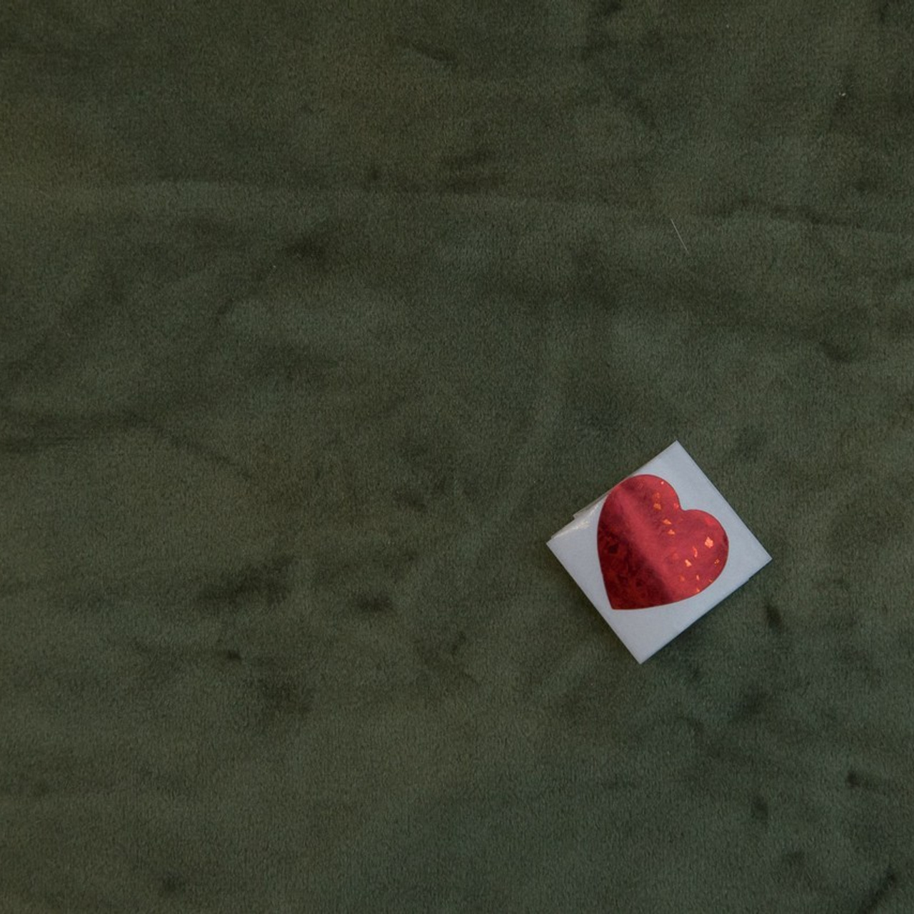 Калуга фотограф на свадьбу. Свадебный фотограф Колесников Антон