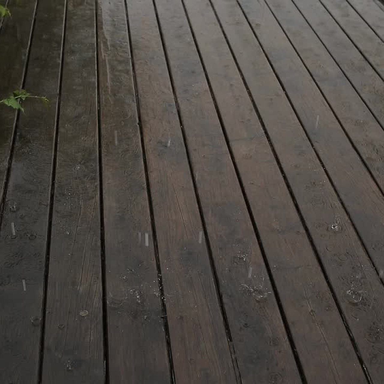 New. Свадебный фотограф Колесников Антон