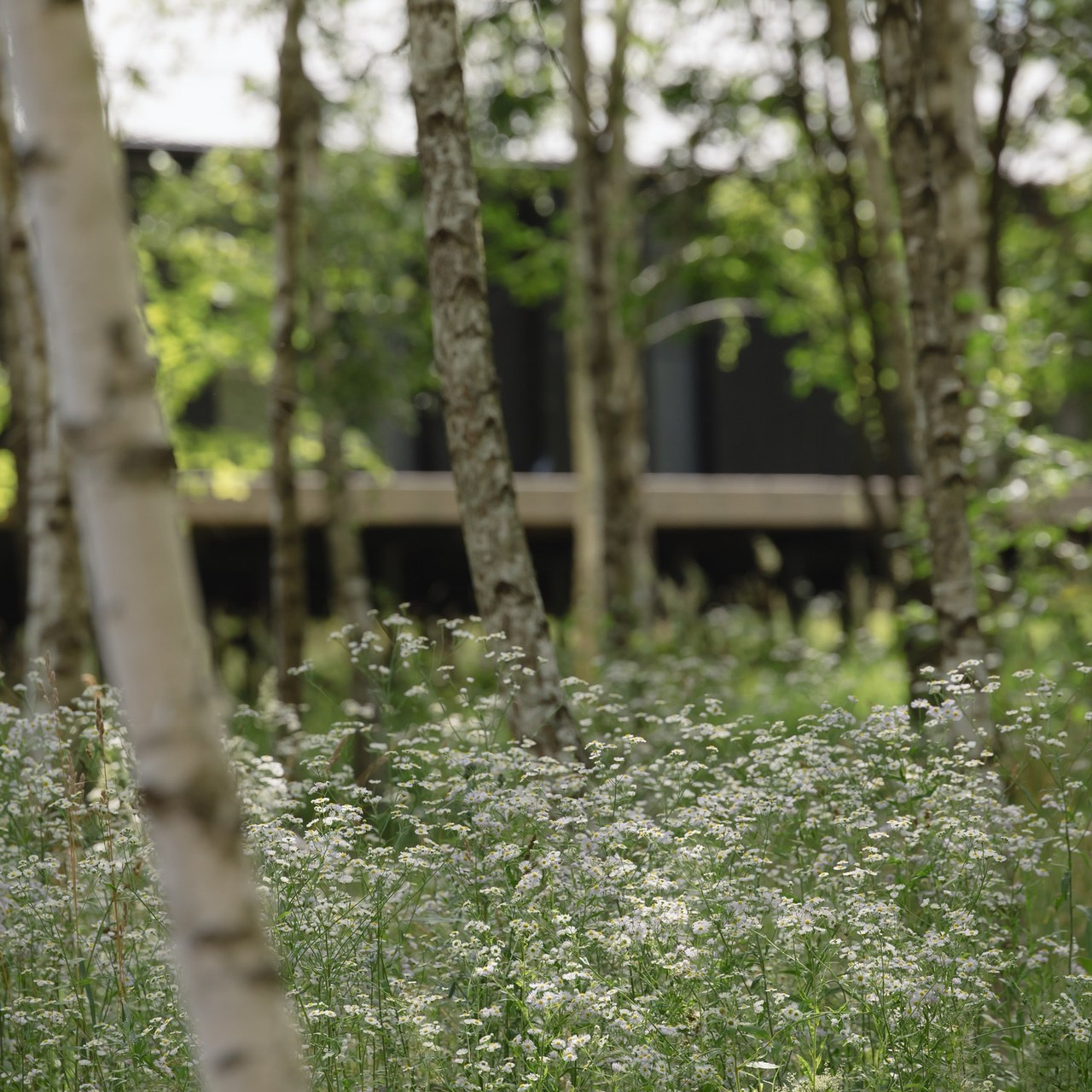 Калуга фотограф на свадьбу. Свадебный фотограф Колесников Антон