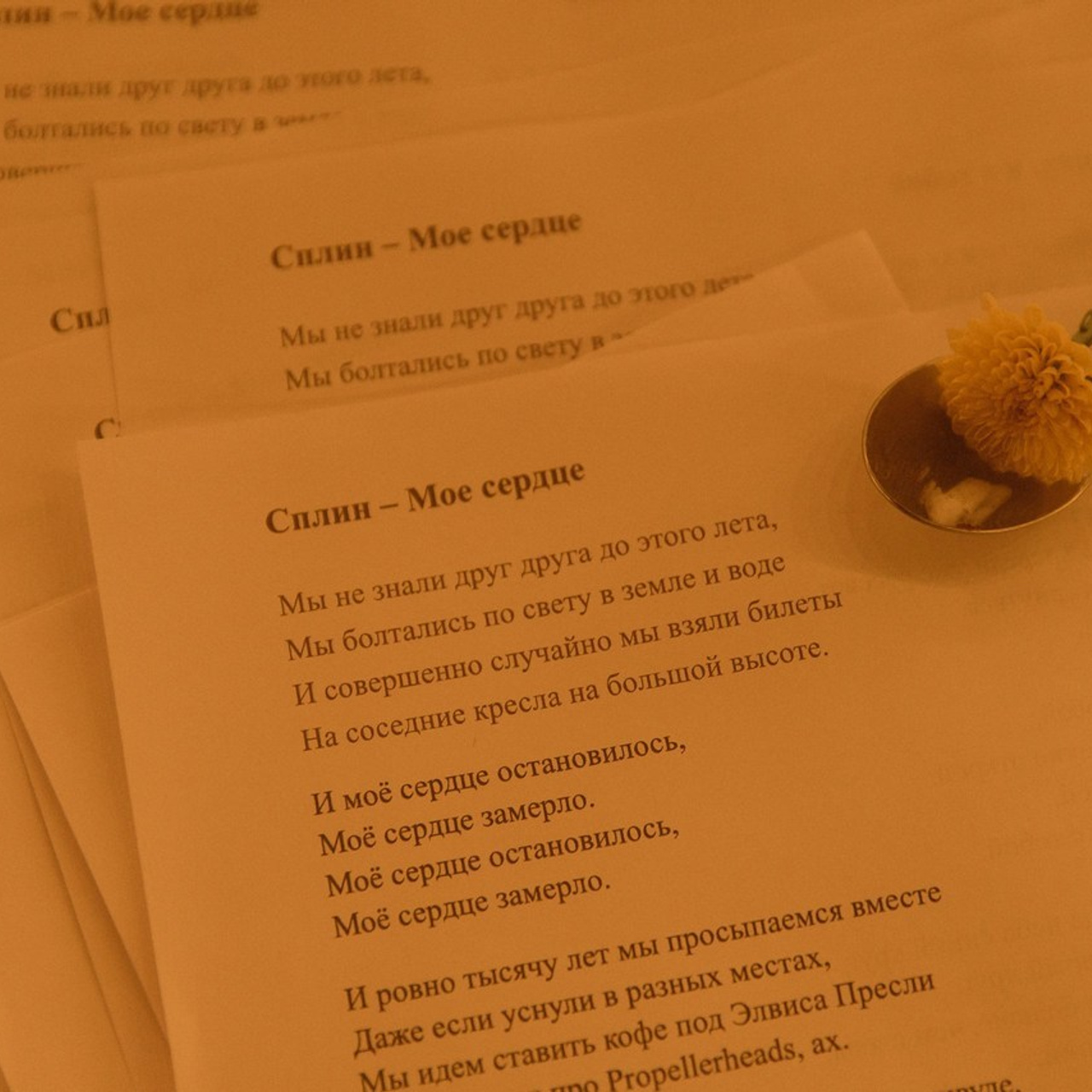 Калуга фотограф на свадьбу. Свадебный фотограф Колесников Антон