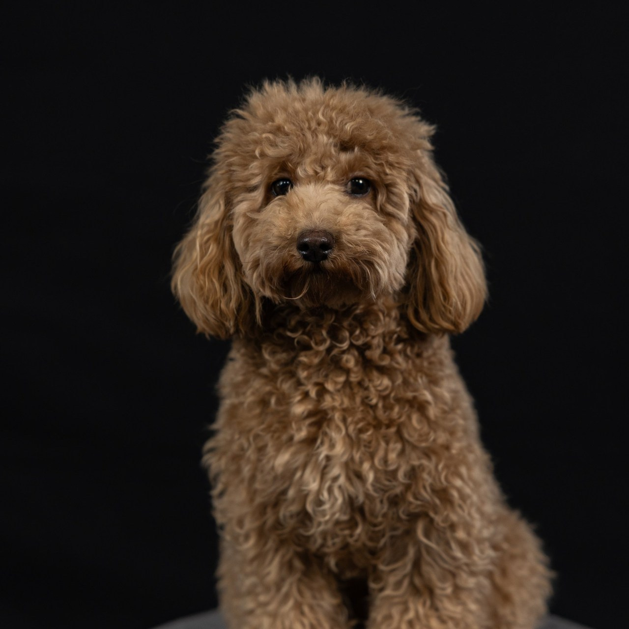 Отзывы. Школьный и детский фотограф в г. Саранске Дарья Левина