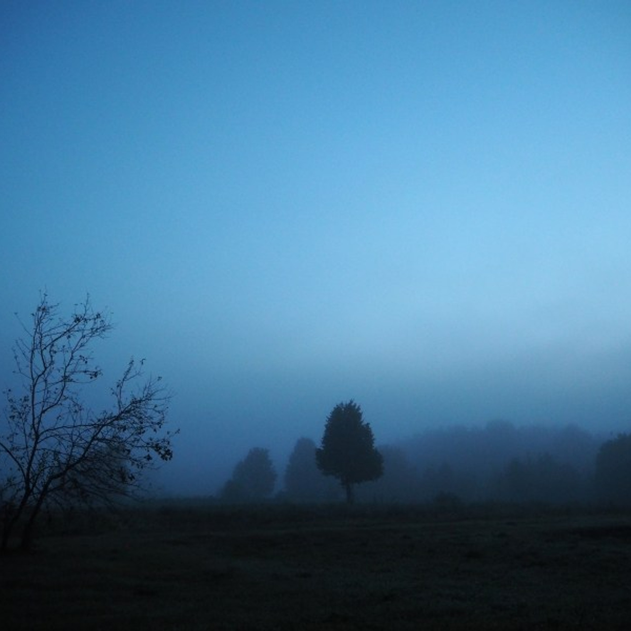 Dawn in a village. Quiet photographic art