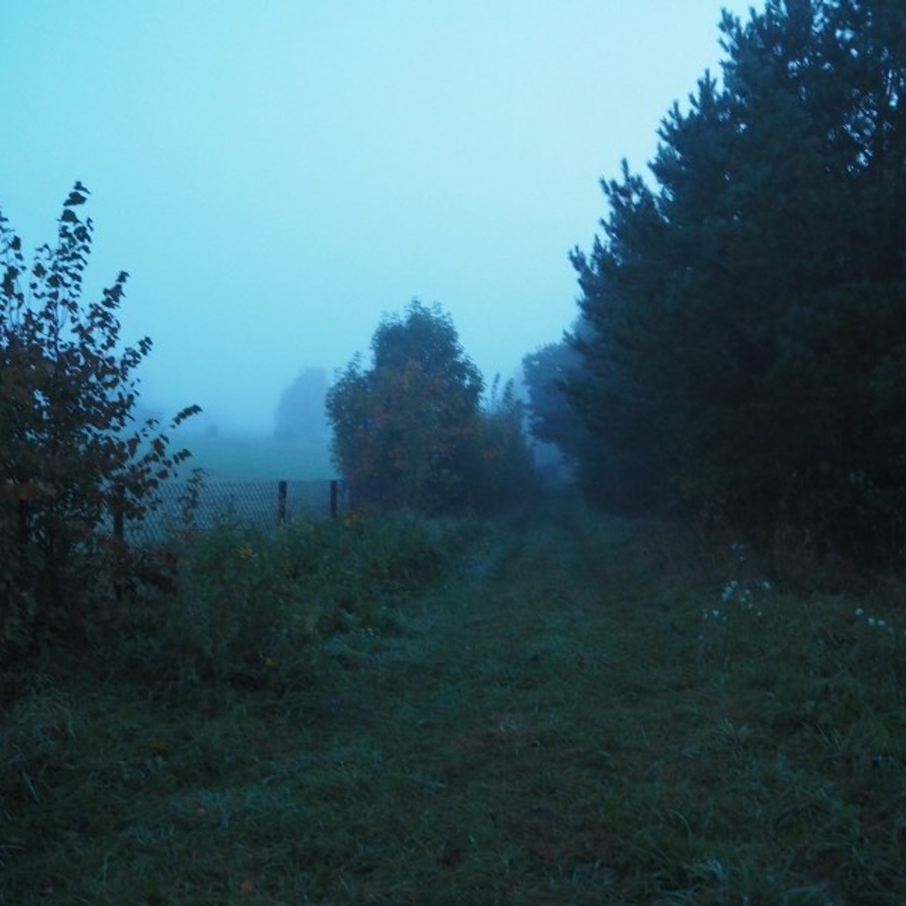 Dawn in a village. Quiet photographic art