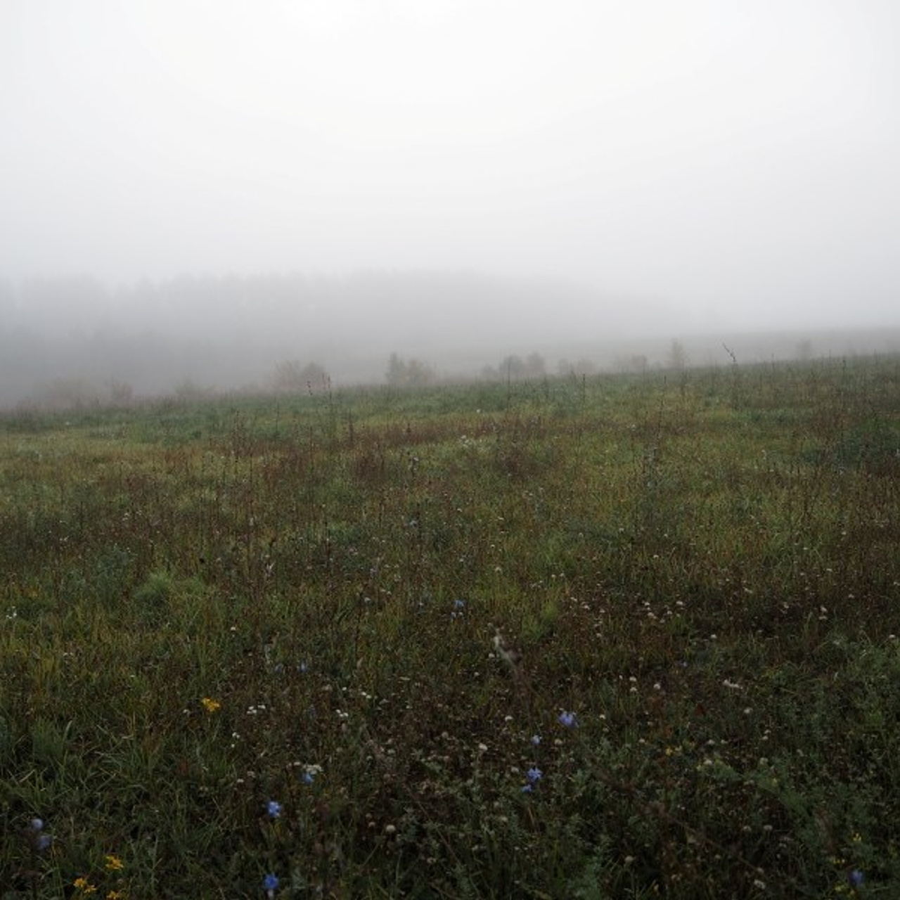 Dawn in a village. Quiet photographic art