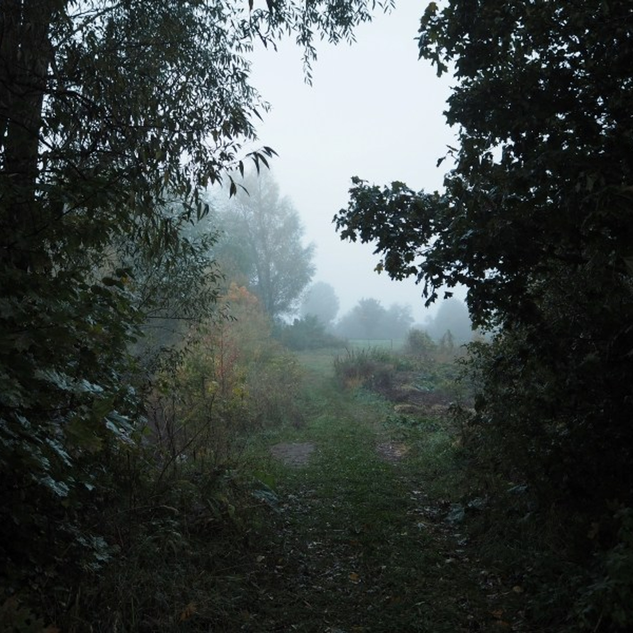 Dawn in a village. Quiet photographic art