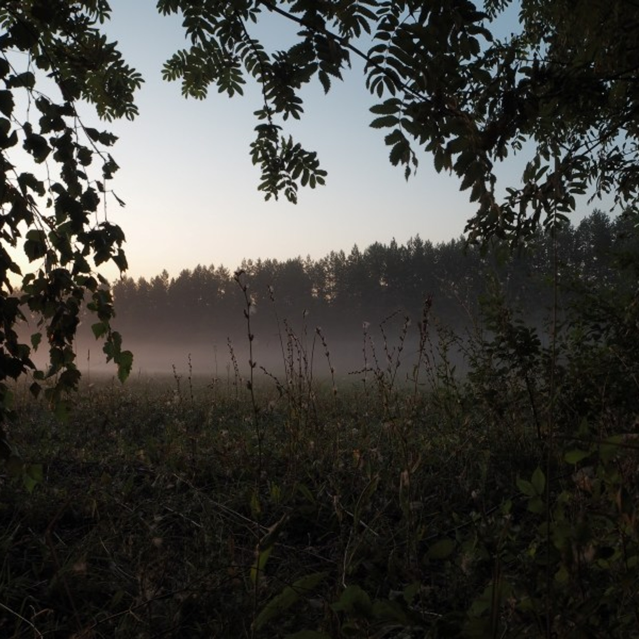 Dawn in a village. Quiet photographic art