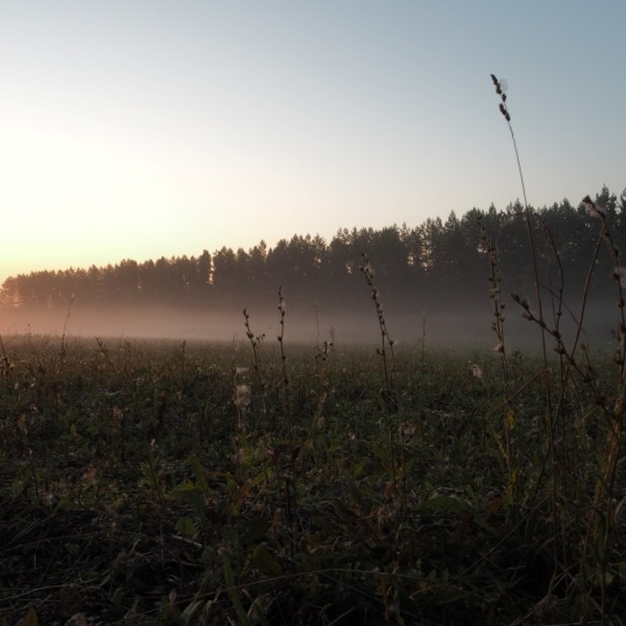 Dawn in a village. Quiet photographic art